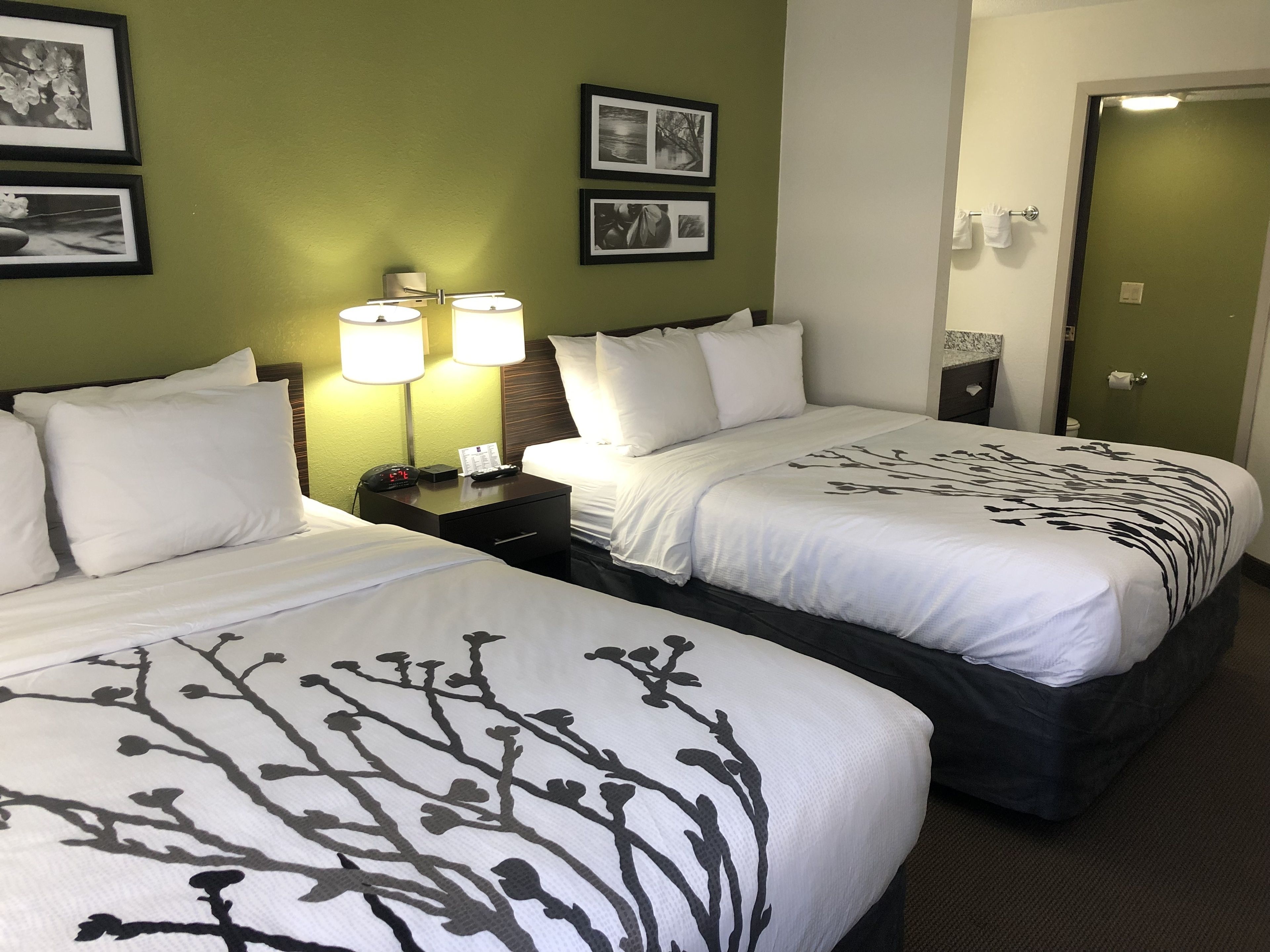 Standard Room, 2 Queen Beds, Non Smoking, Refrigerator & Microwave | Desk, blackout curtains, soundproofing, iron/ironing board