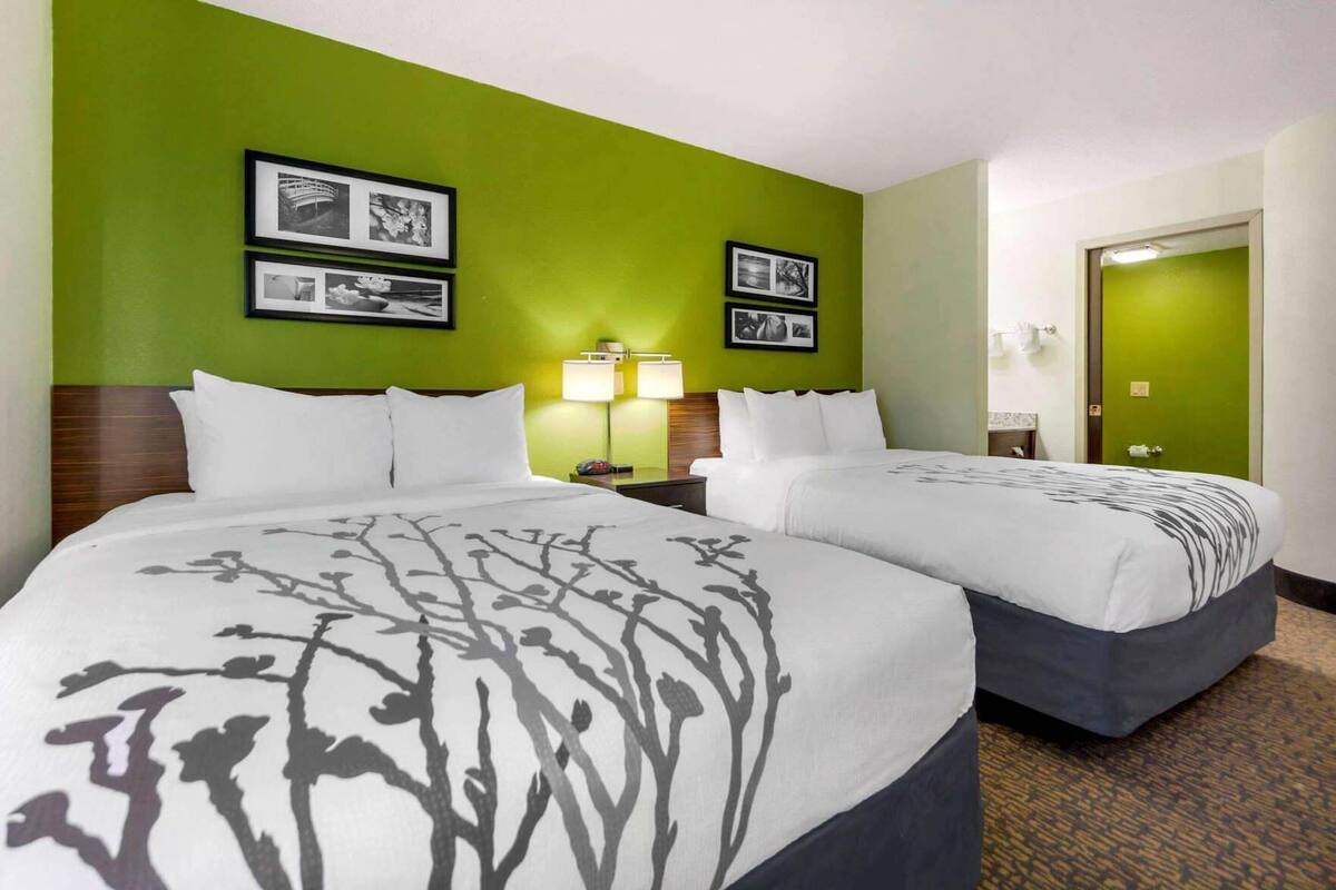 A hotel room with two beds, green walls, framed pictures, and a nightstand with lamps.