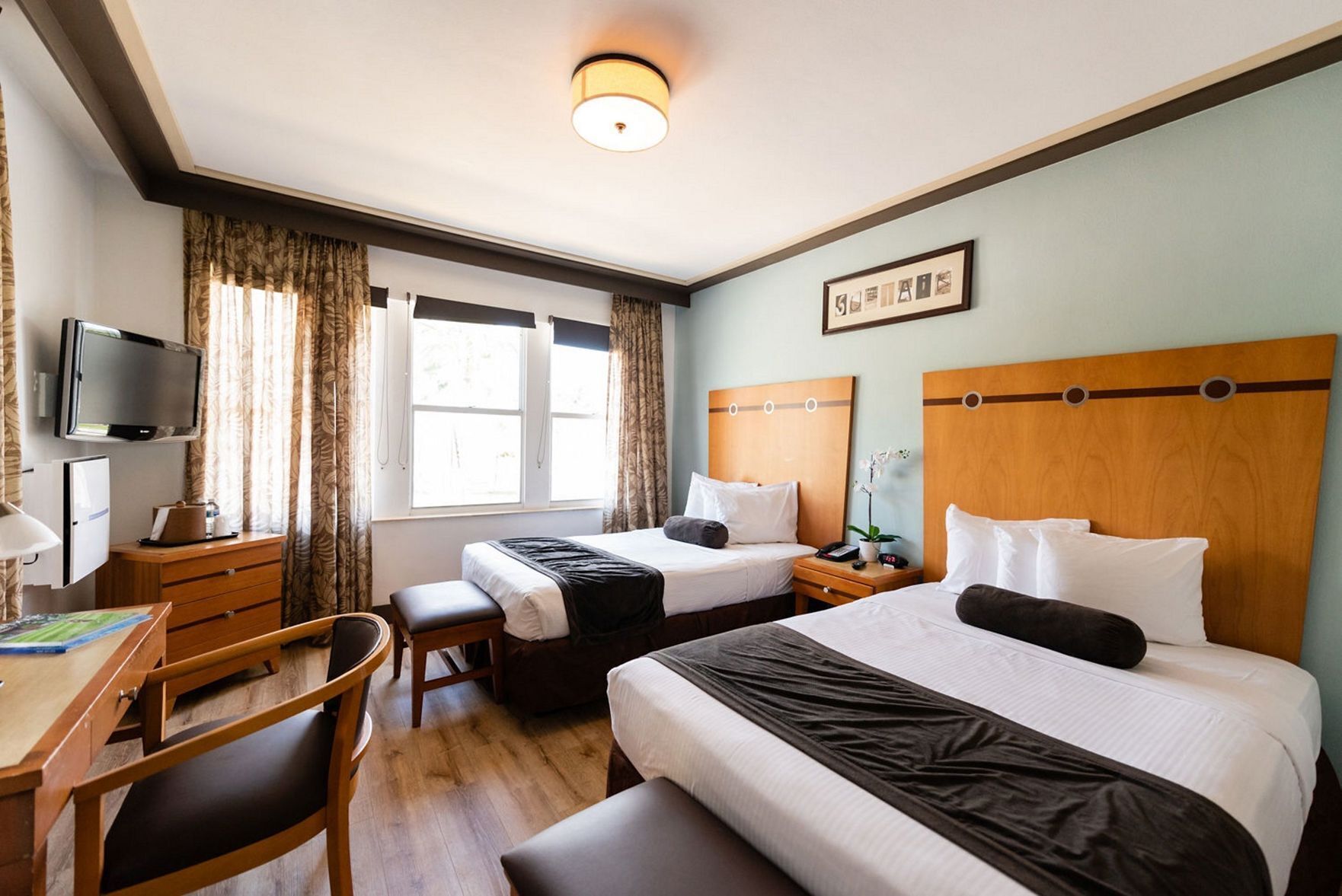 Premium bedding, in-room safe, desk, blackout curtains