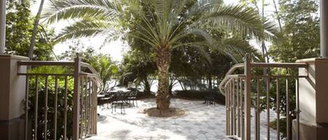 A covered outdoor area with a palm tree, metal gates, and a tiled floor.
