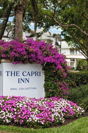 Exterior - The Capri Inn (Naples)