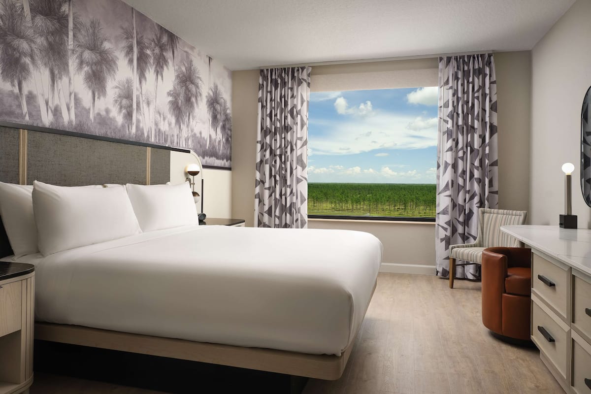 Suite, 1 King Bed (Caribe) | View from room