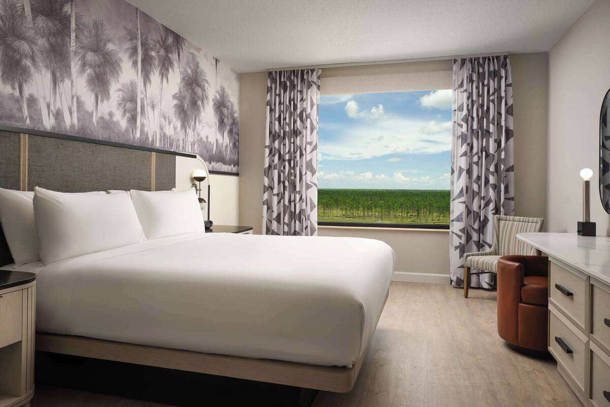 A hotel room with a large bed, a desk with a chair, a nightstand, a lamp, and a view of a green landscape through the window.