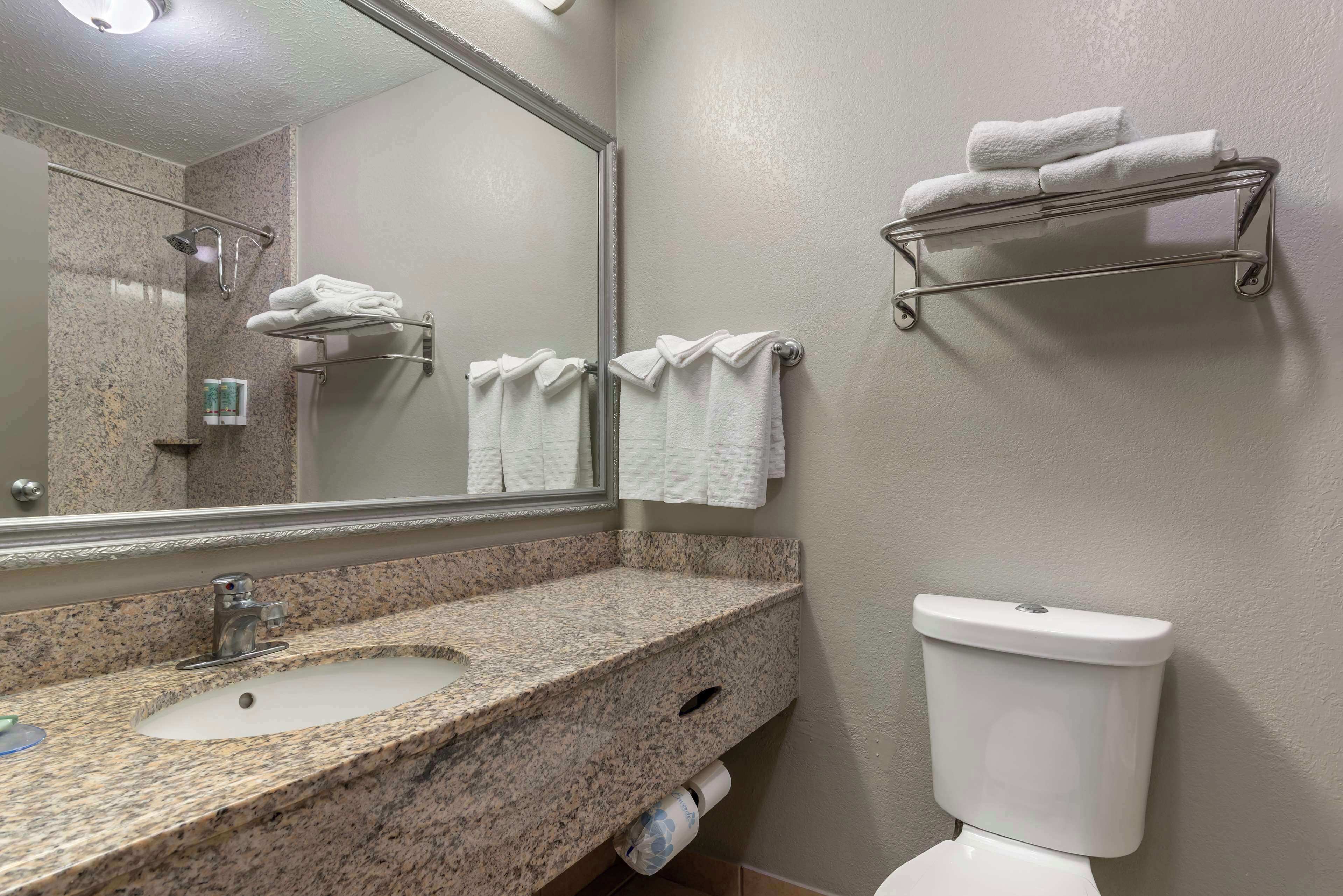 combined shower/bathtub, free toiletries, hair dryer, towels