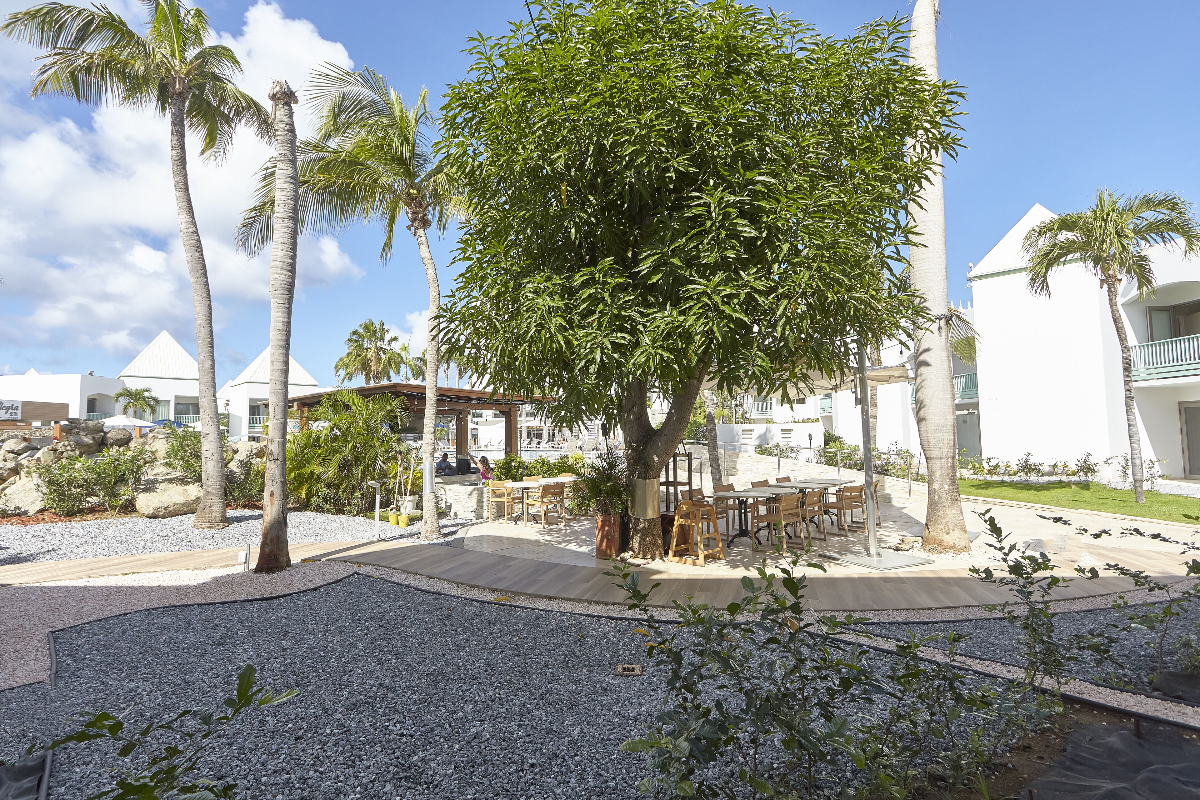 A resort area with palm trees, outdoor seating, and a pool.