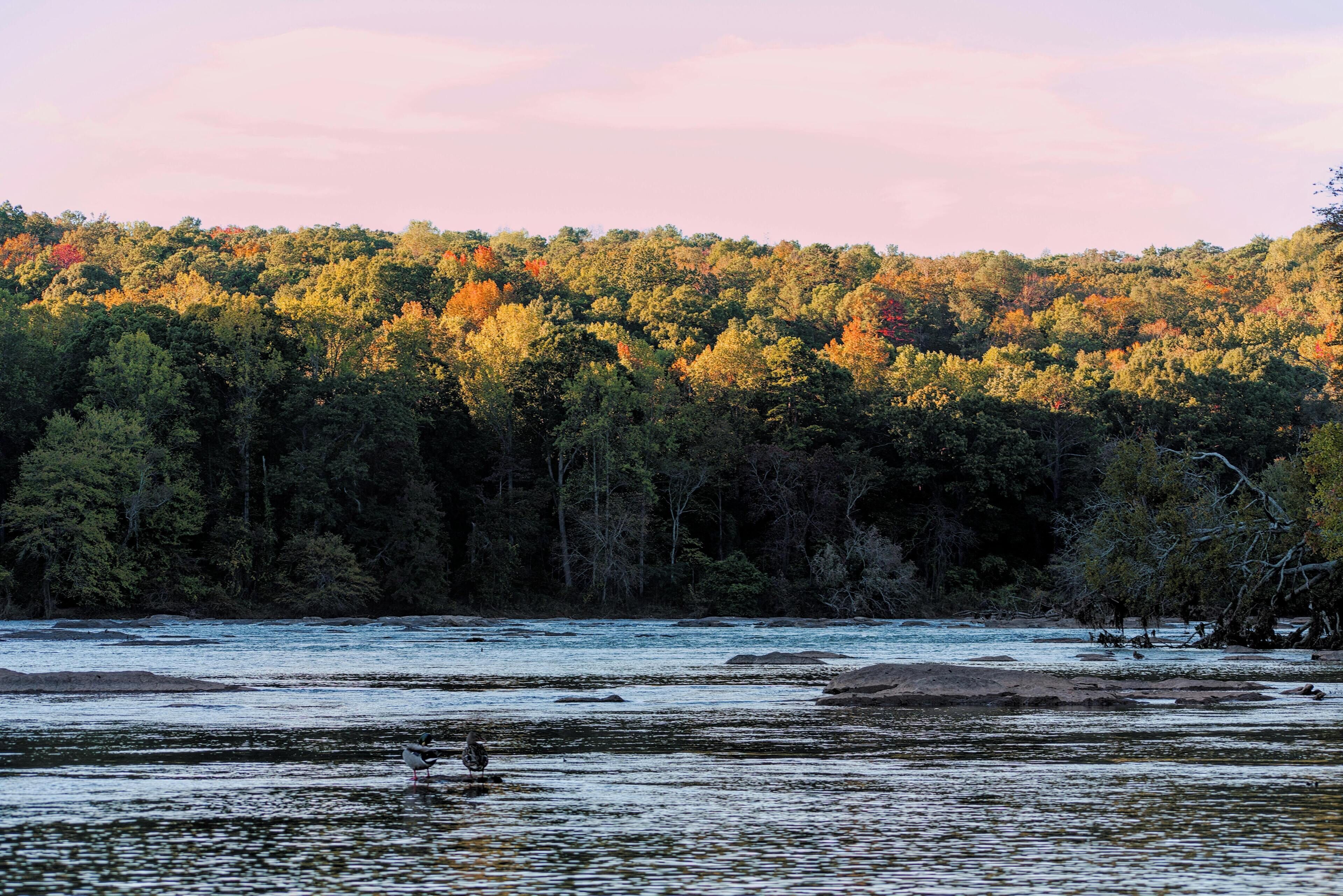 Foto - The Westin Atlanta Perimeter North
