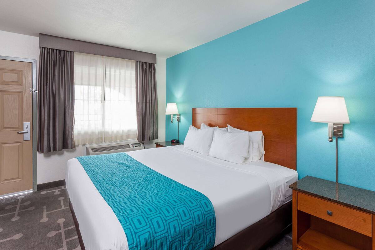 Une chambre d’hôtel comprenant un lit, deux lampes de chevet, une table de nuit, une fenêtre avec des rideaux et une porte.