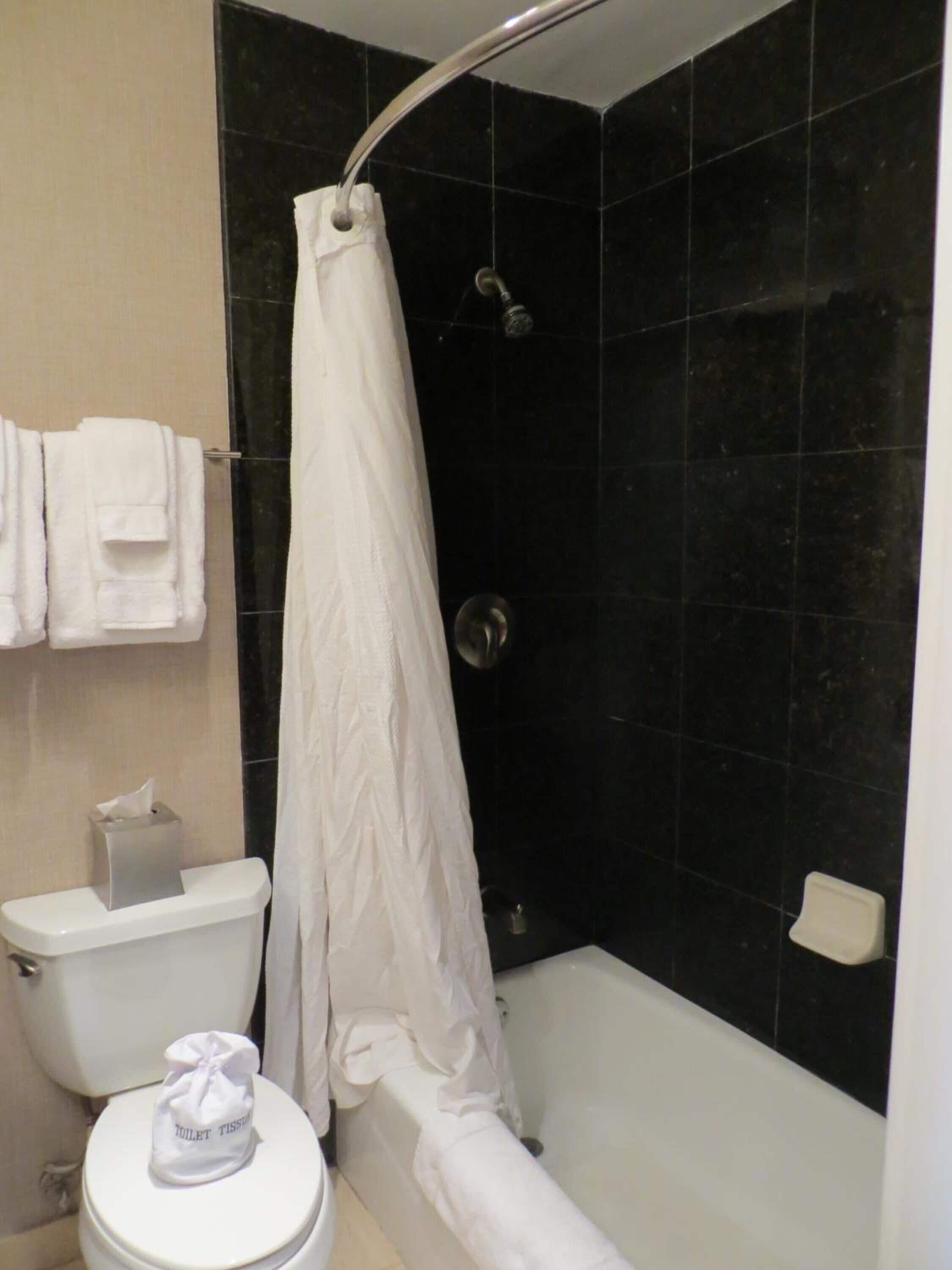 Une salle de bain équipée de toilettes, d’un rideau de douche et d’un porte-serviettes avec des serviettes.