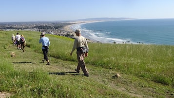 A coastal hiking trail with a view of the ocean and a beach in the distance.