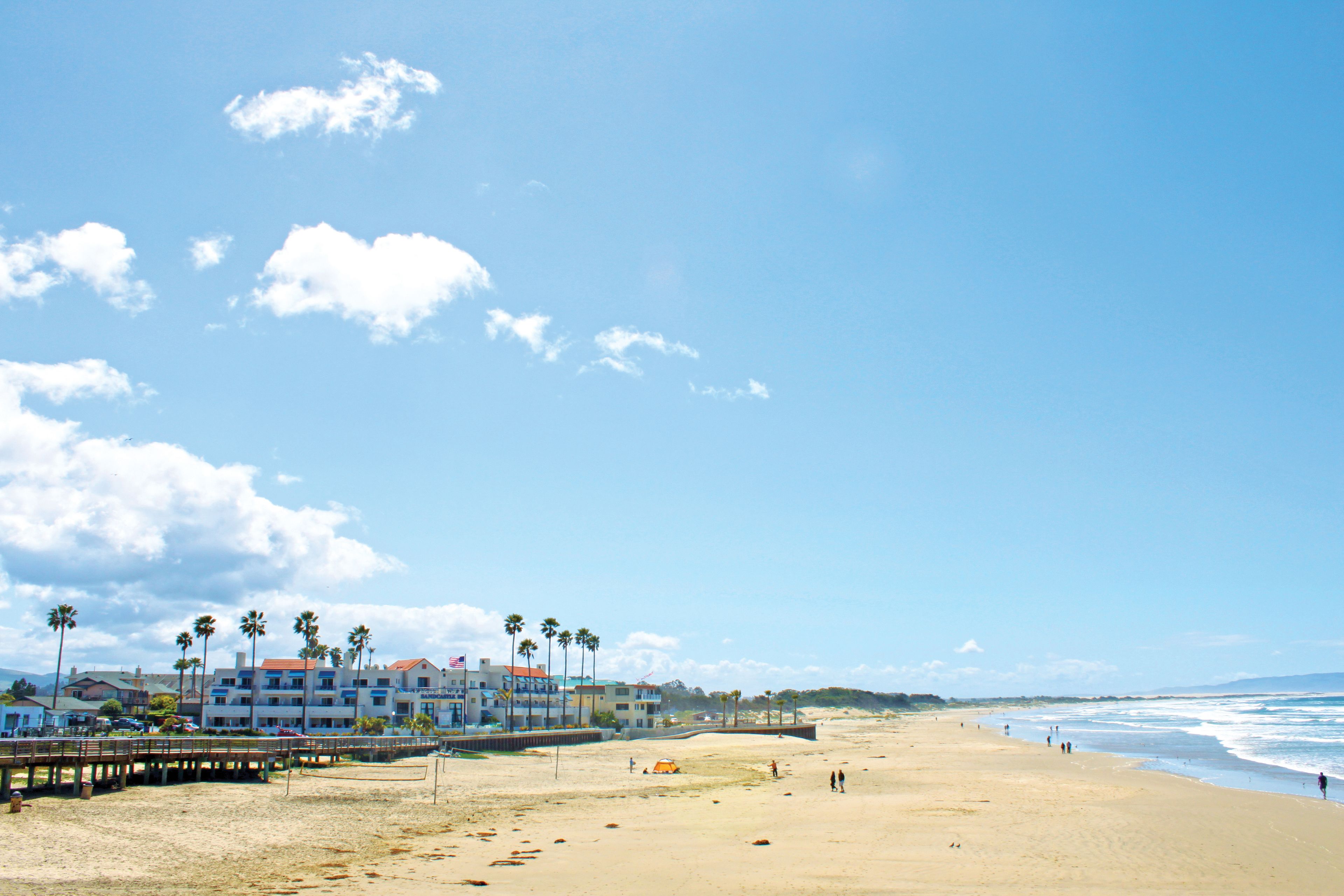 A beach with a pier, palm trees, and a building with multiple balconies.