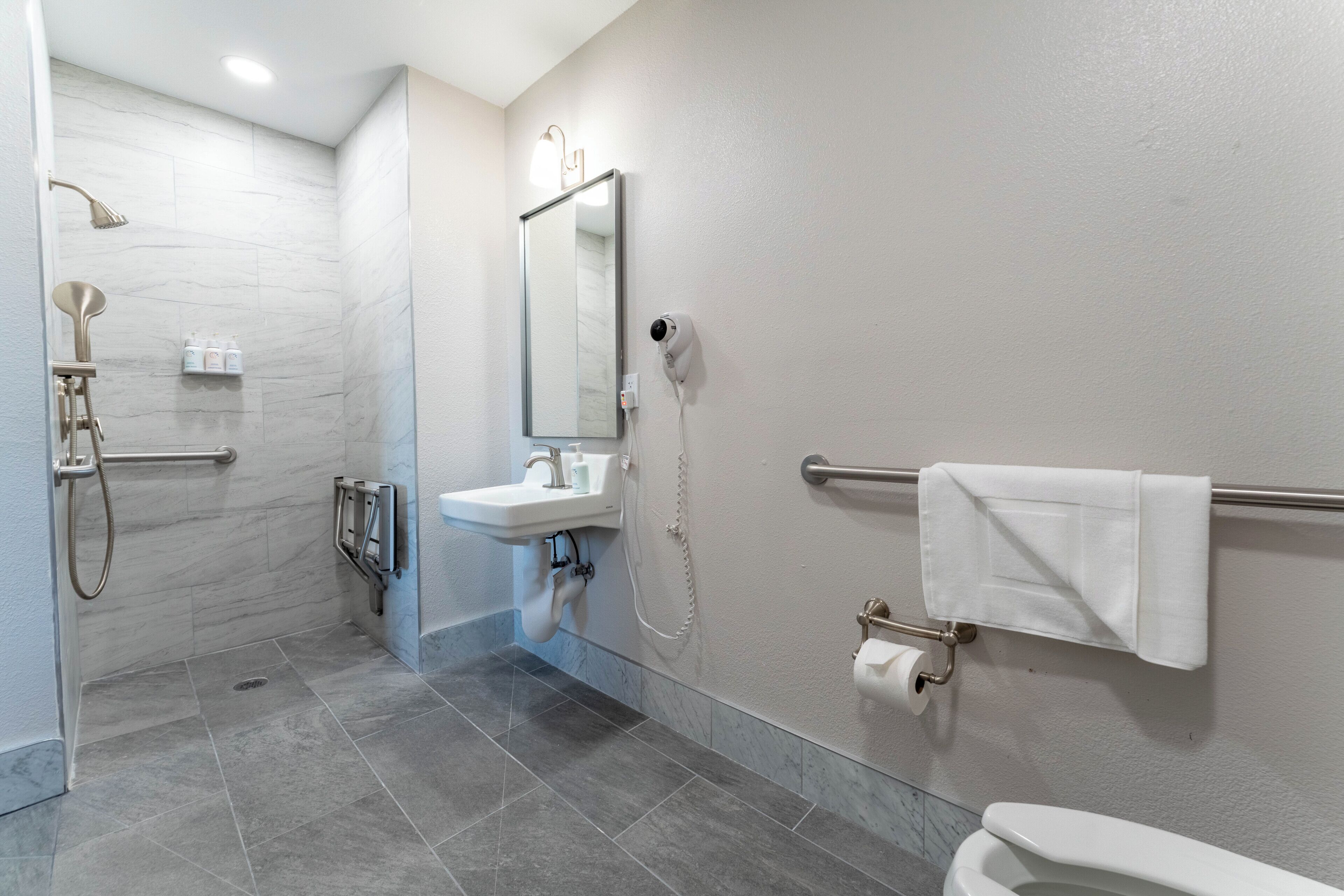 Standard Room, 1 Queen Bed, Accessible, Non Smoking | Bathroom