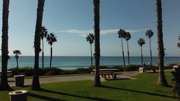 Una playa cerca