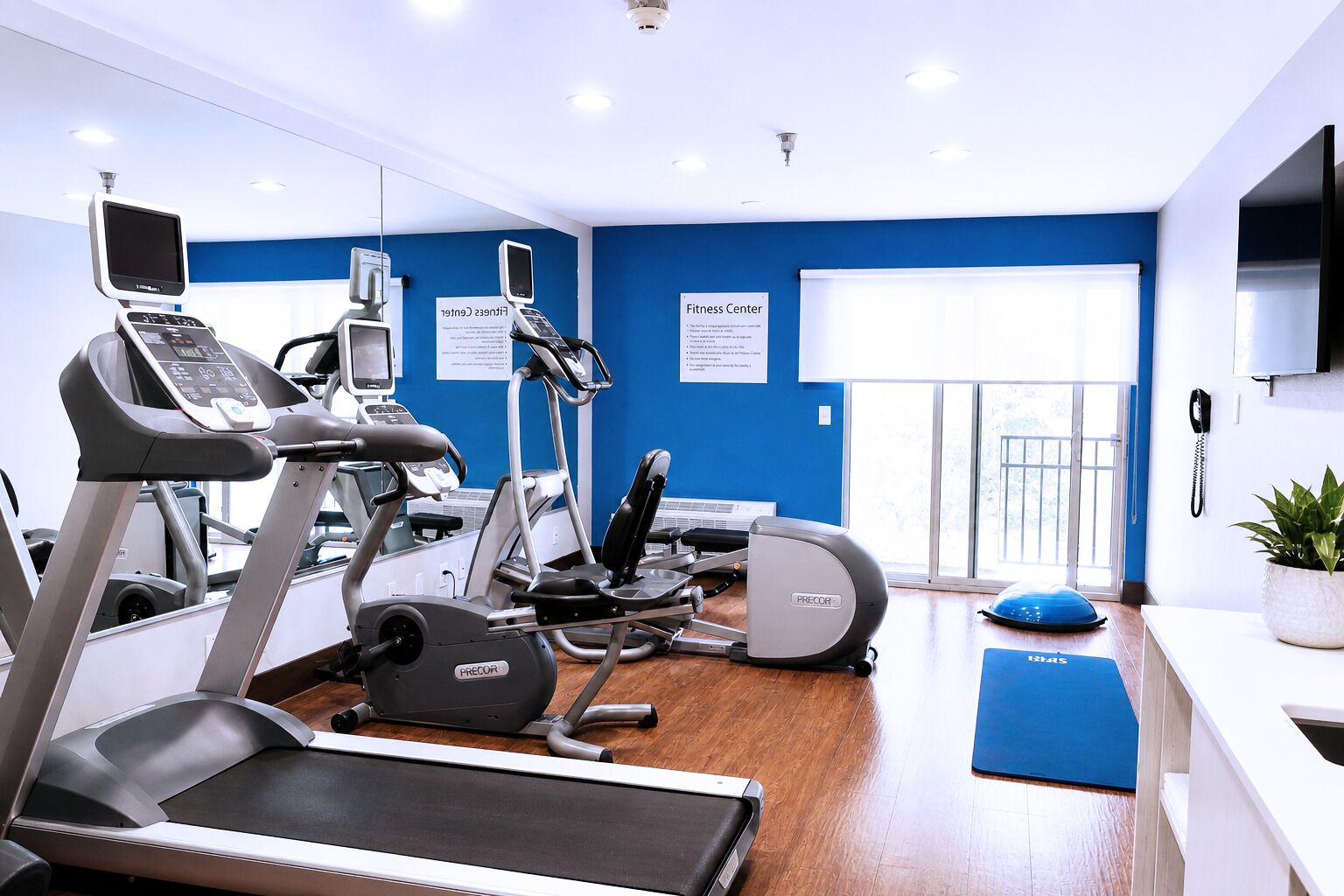 A fitness center with treadmills, ellipticals, and a stationary bike, a reception desk, and a potted plant.