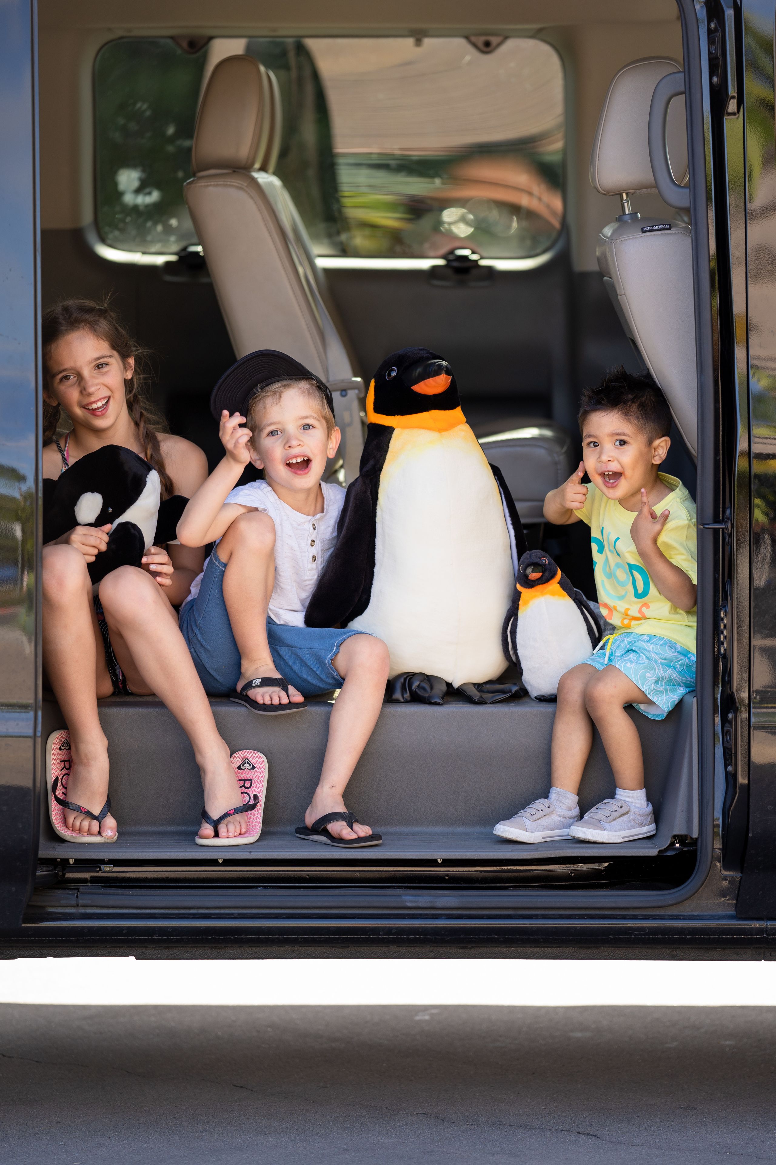 Photo - The Dana on Mission Bay