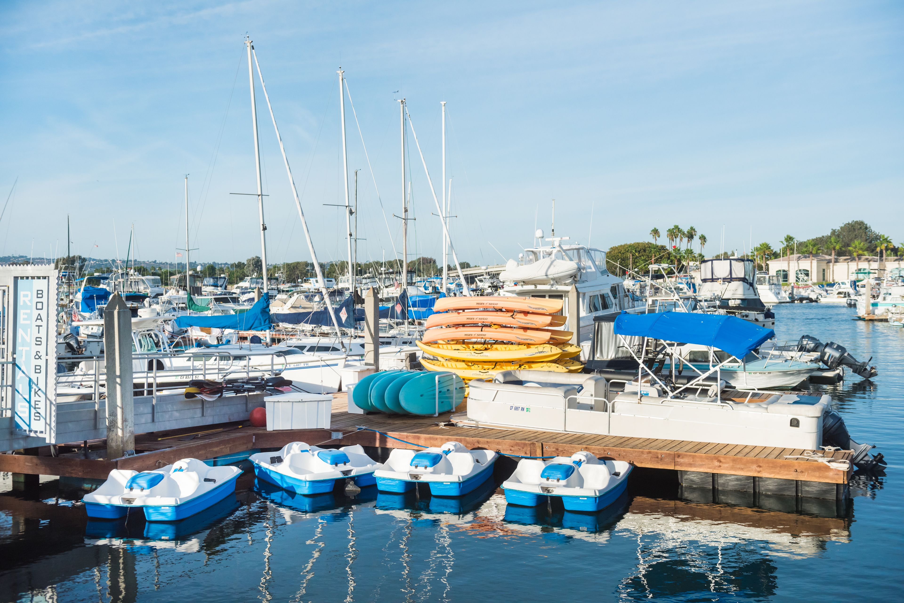 Photo - The Dana on Mission Bay