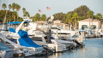 Ein Yachthafen mit mehreren angedockten Booten, von denen einige mit blauen Abdeckplanen versehen sind und wenige eine amerikanische Flagge zeigen.