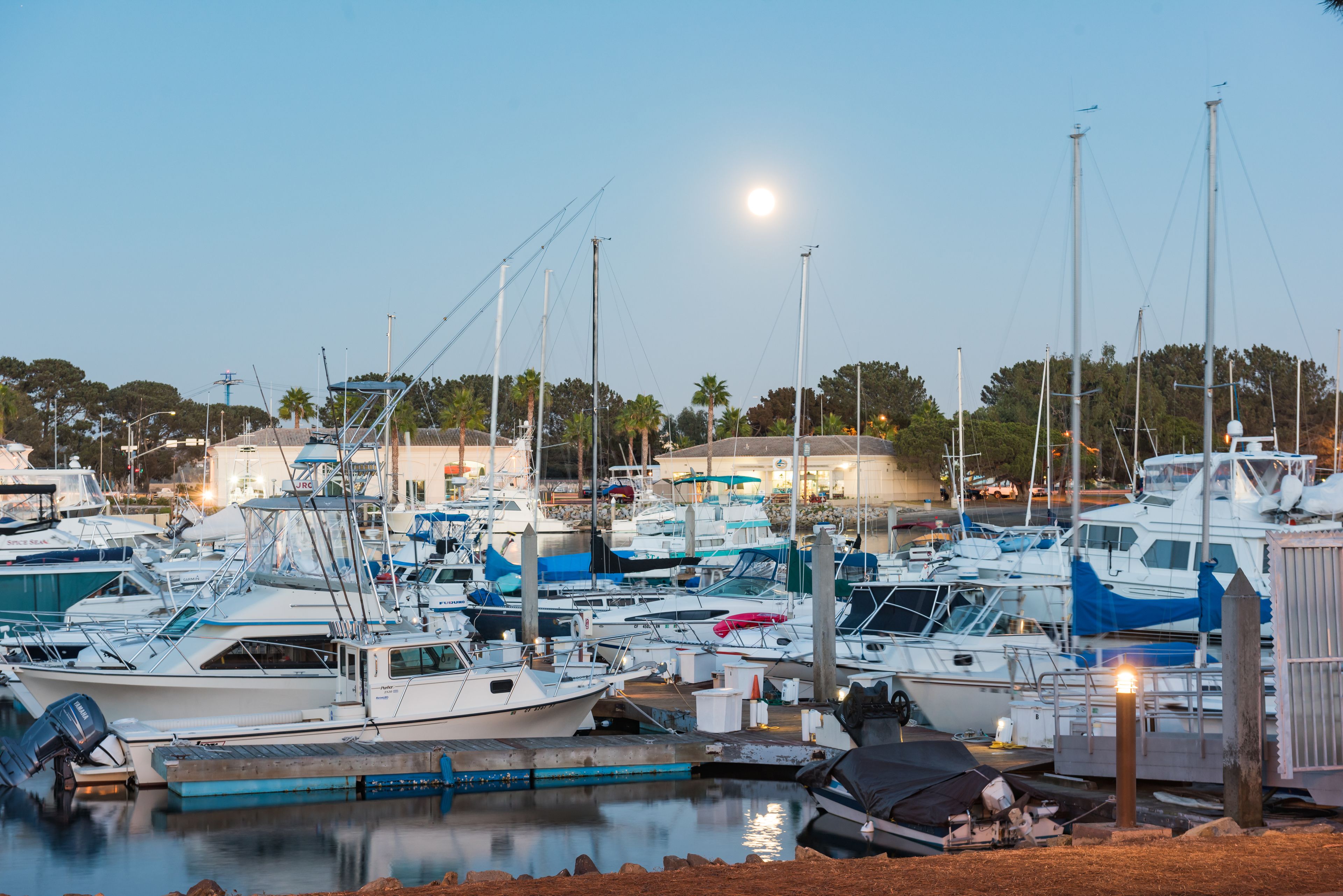 A marina with multiple boats docked at the pier.
