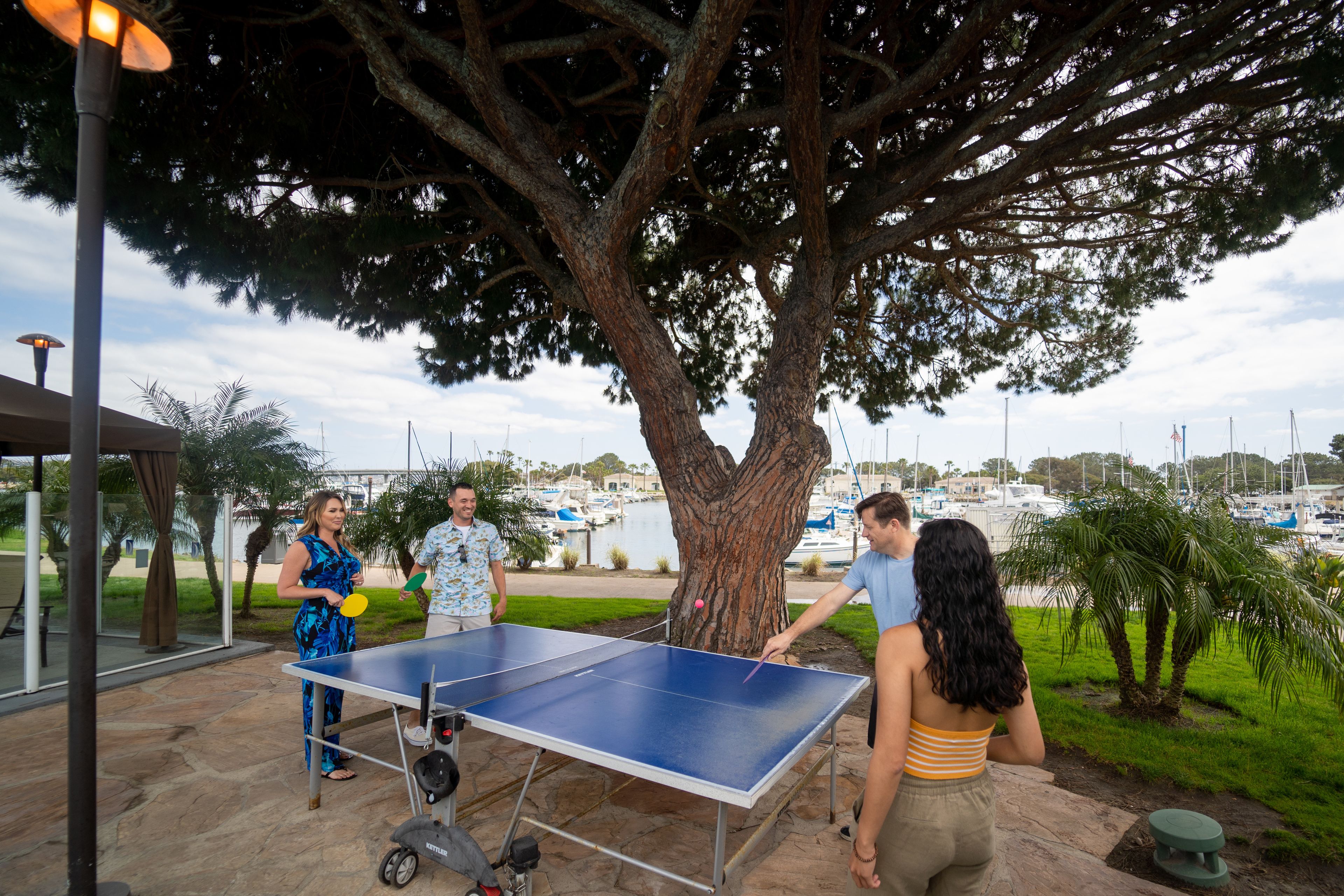 Una mesa de ping pong montada al aire libre, con un árbol grande y un puerto deportivo al fondo.