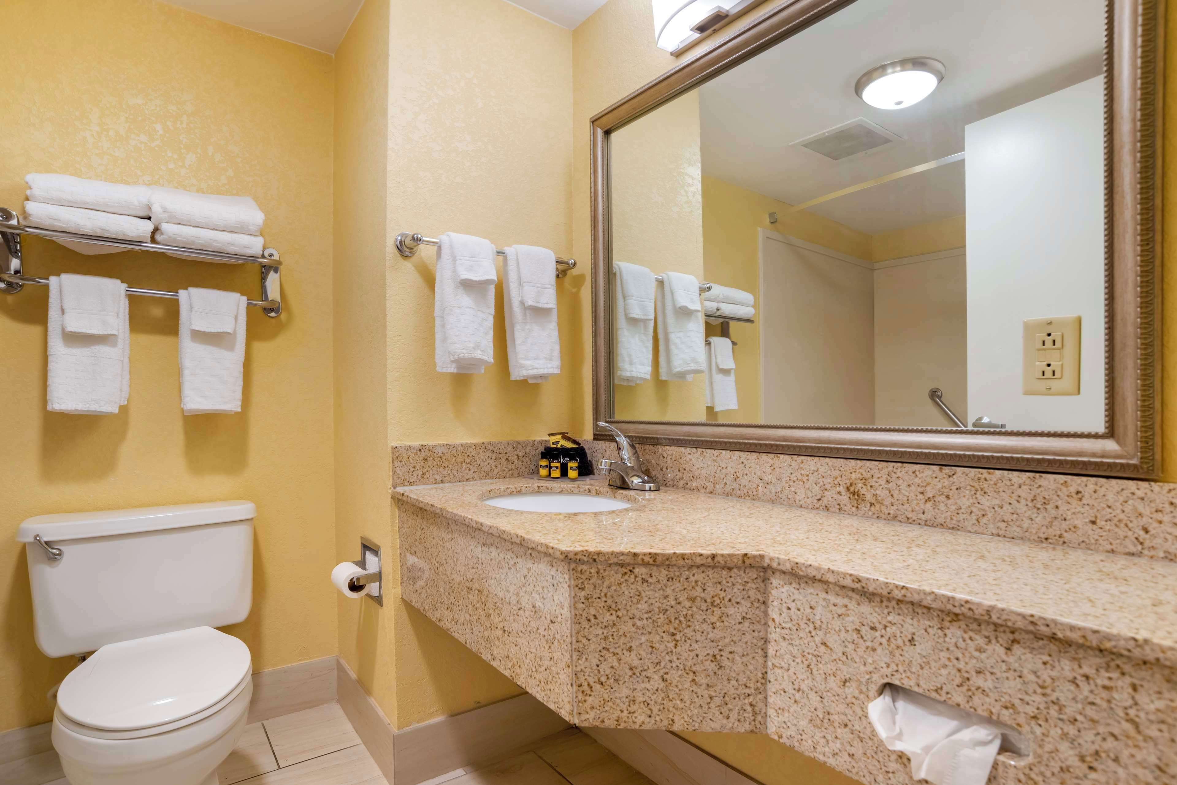 standard room, 1 king bed, non smoking, jetted tub (with sofabed) | bathroom | free toiletries, hair dryer, towels