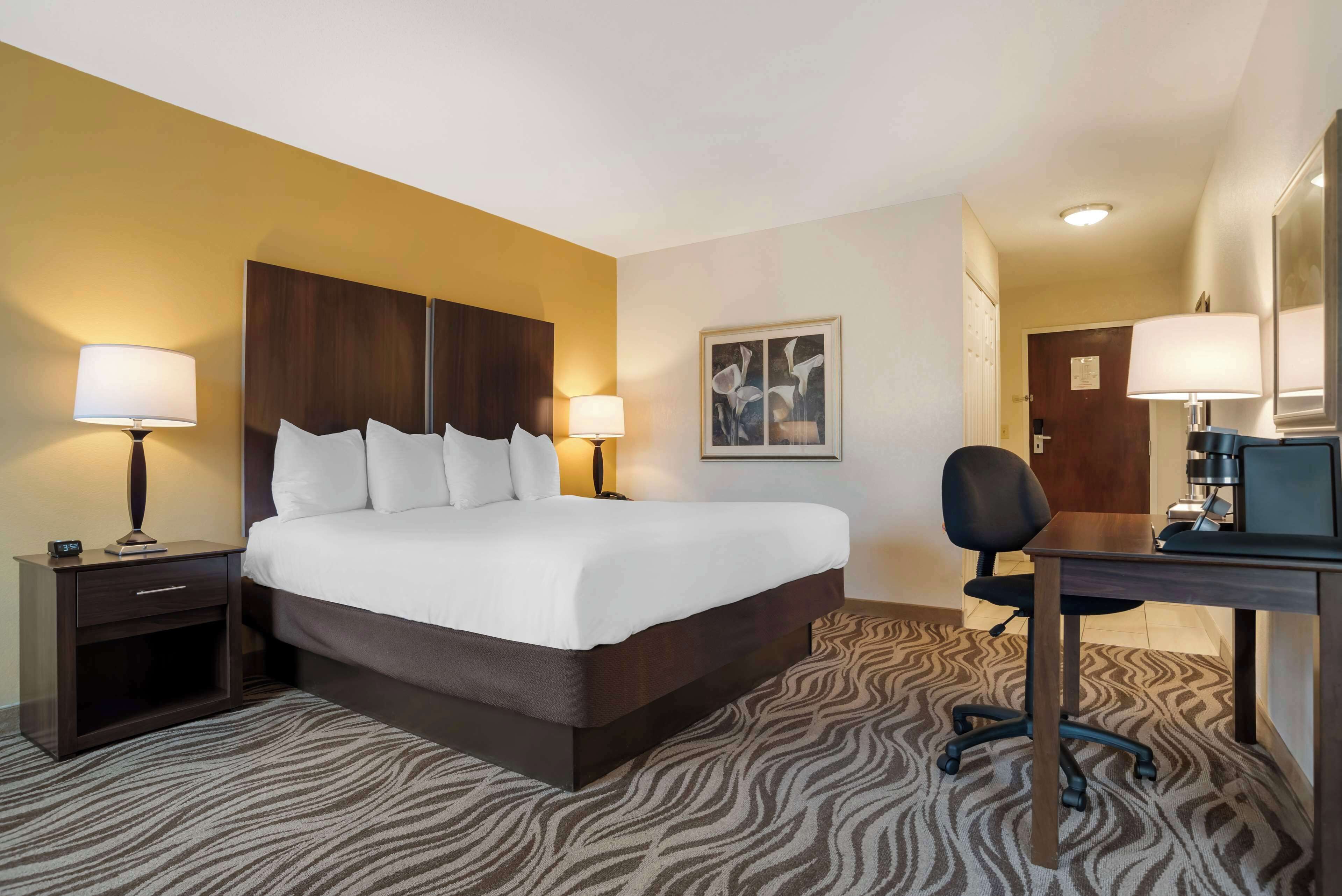 Quarto de hotel com uma cama grande, duas mesas de cabeceira com luminárias, uma escrivaninha com cadeira e um tapete estampado.