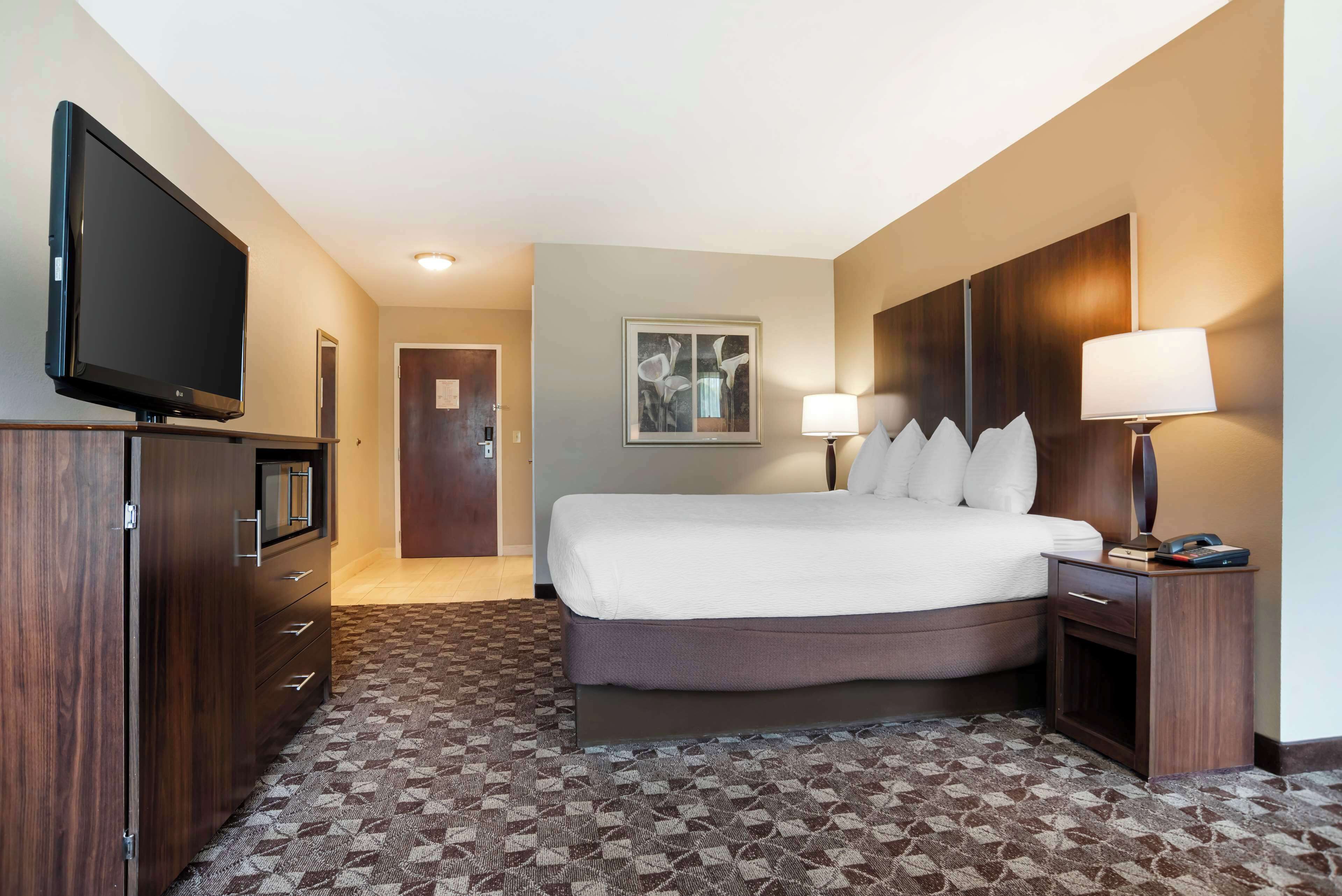 standard room, 1 king bed, non smoking, refrigerator & microwave (with sofabed) | iron/ironing board, rollaway beds, wifi, bed sheets