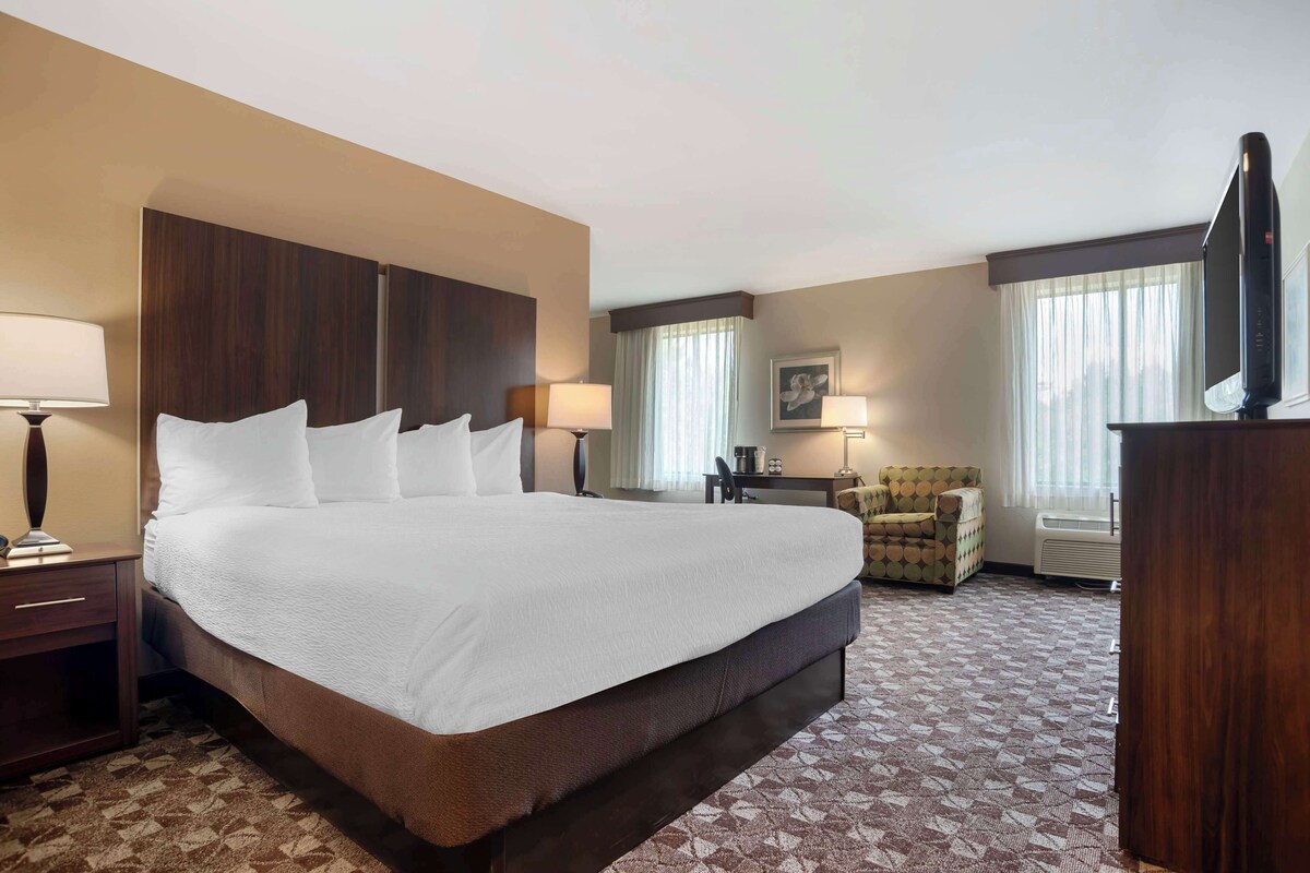 A hotel room with a large bed, a desk, a chair, and a TV.