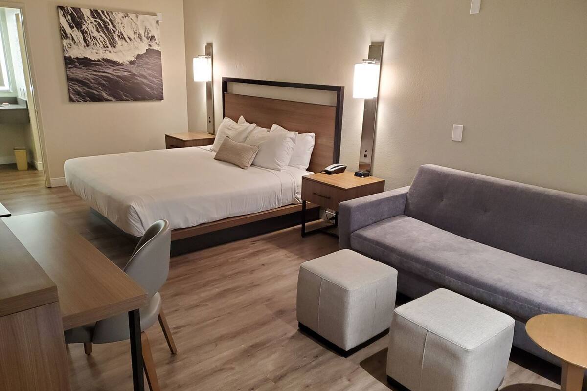 Habitación de hotel con cama, sofá, escritorio y silla.