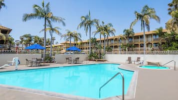 Relax by the pool surrounded by palm trees and enjoy the resort's pool area with lounge chairs and umbrellas.