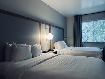 Room at Hotel Scottsdale