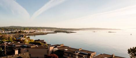 A coastal cityscape with a marina, buildings with flat roofs, and a clear sky.