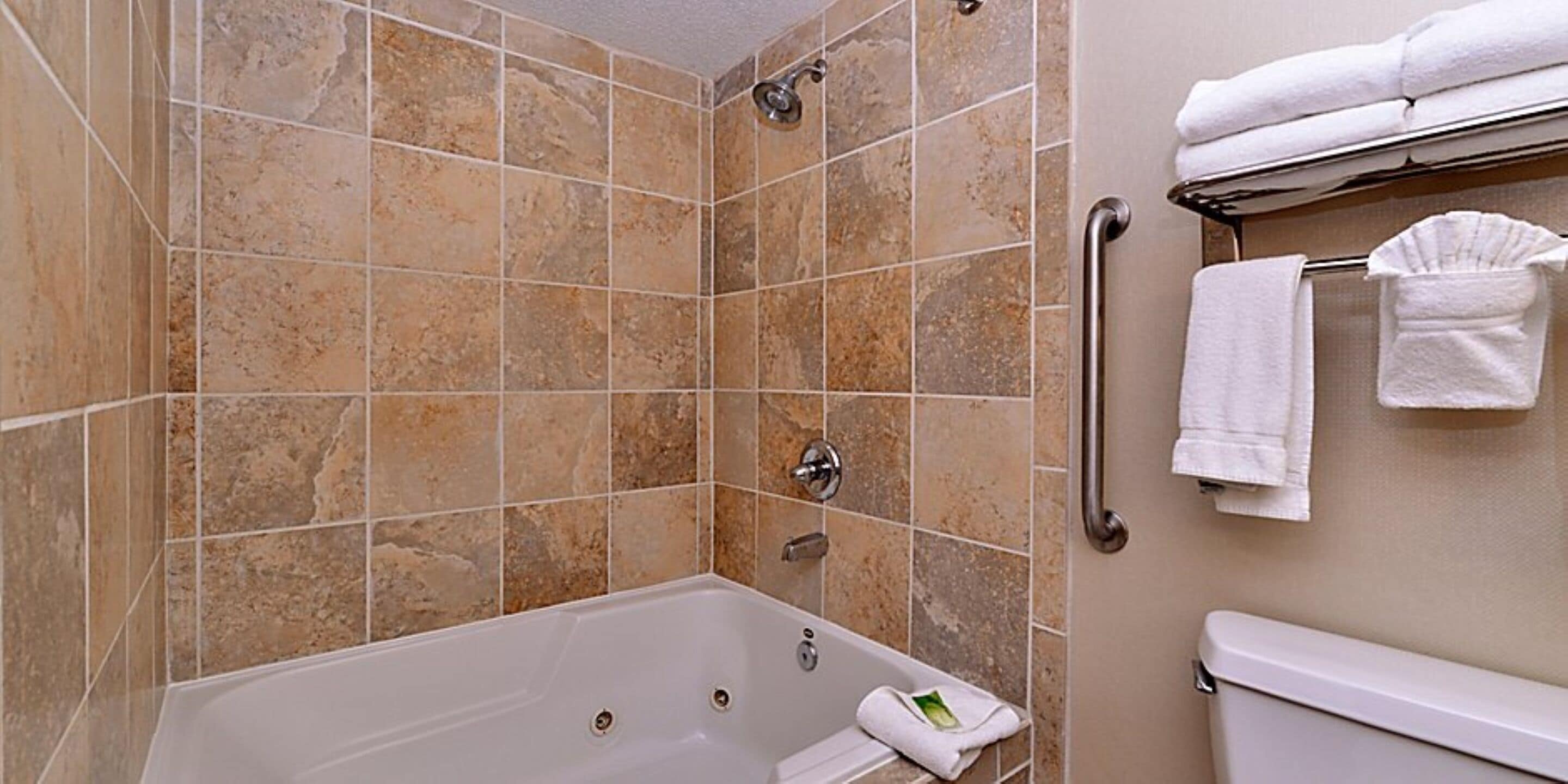 combined shower/bathtub, free toiletries, hair dryer, towels