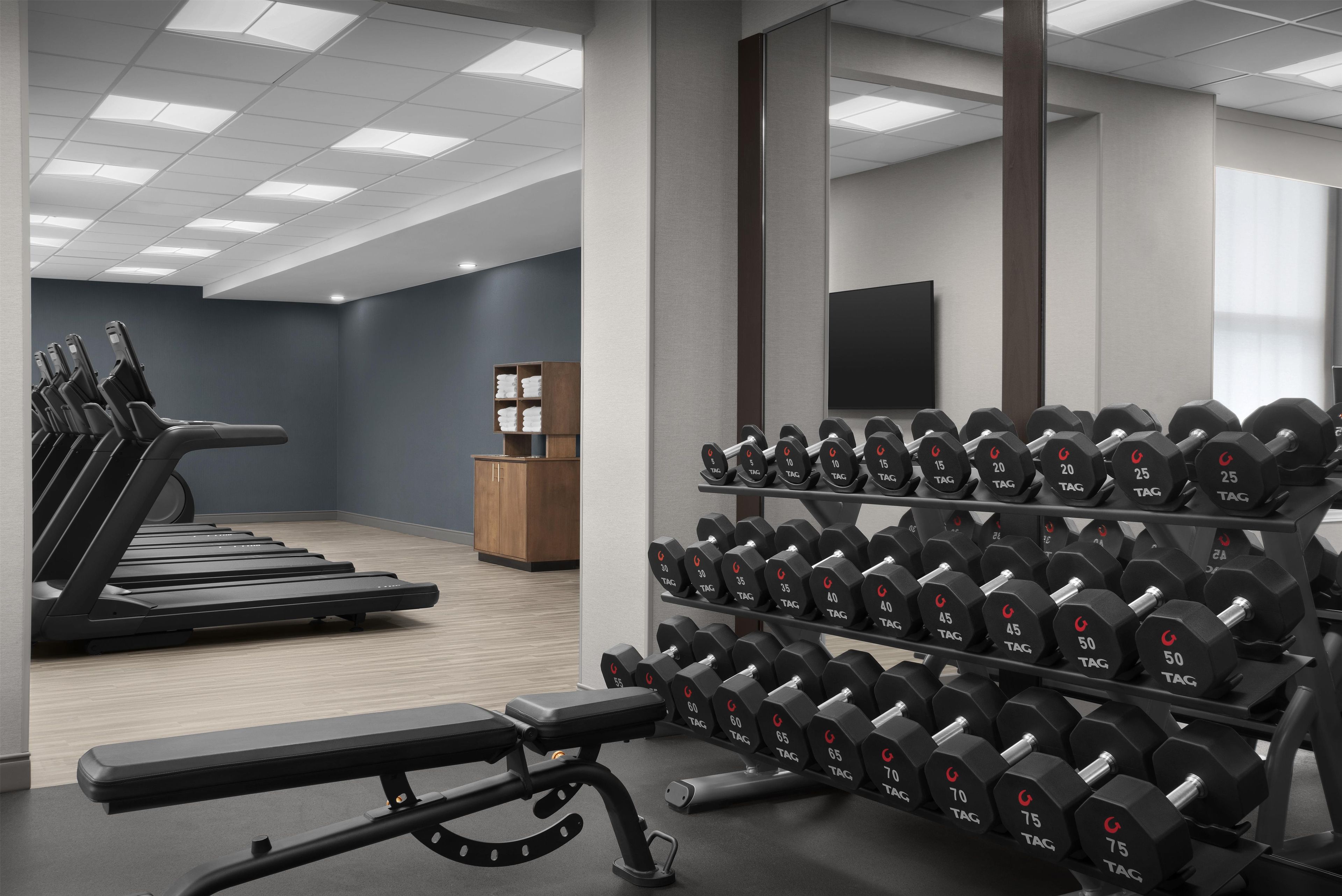 A gym with treadmills, dumbbells, and a weight bench.