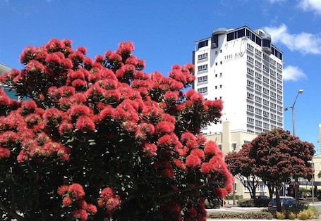 Front of property. Bay Plaza Hotel