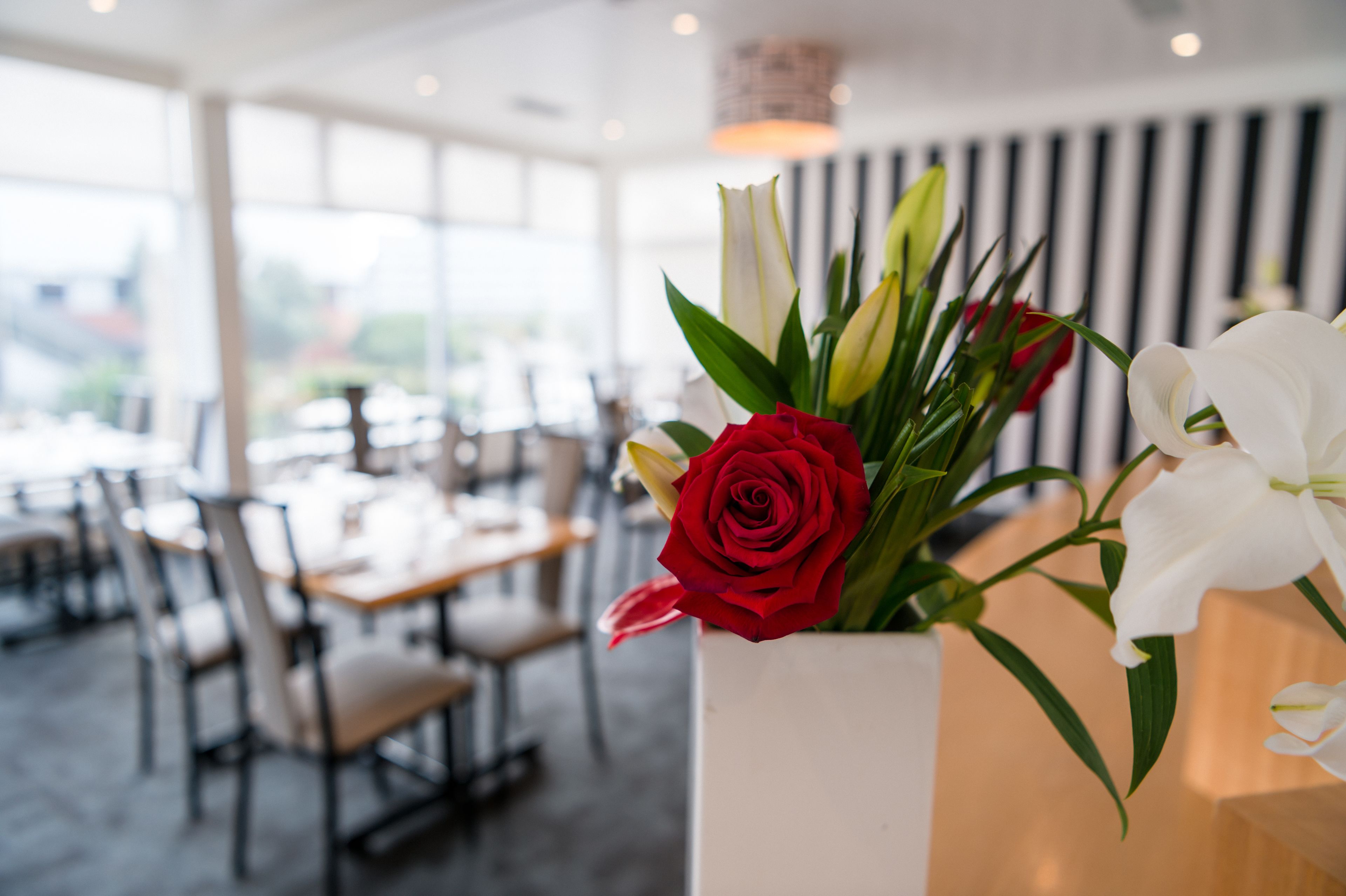 Foto - Bay Plaza Hotel