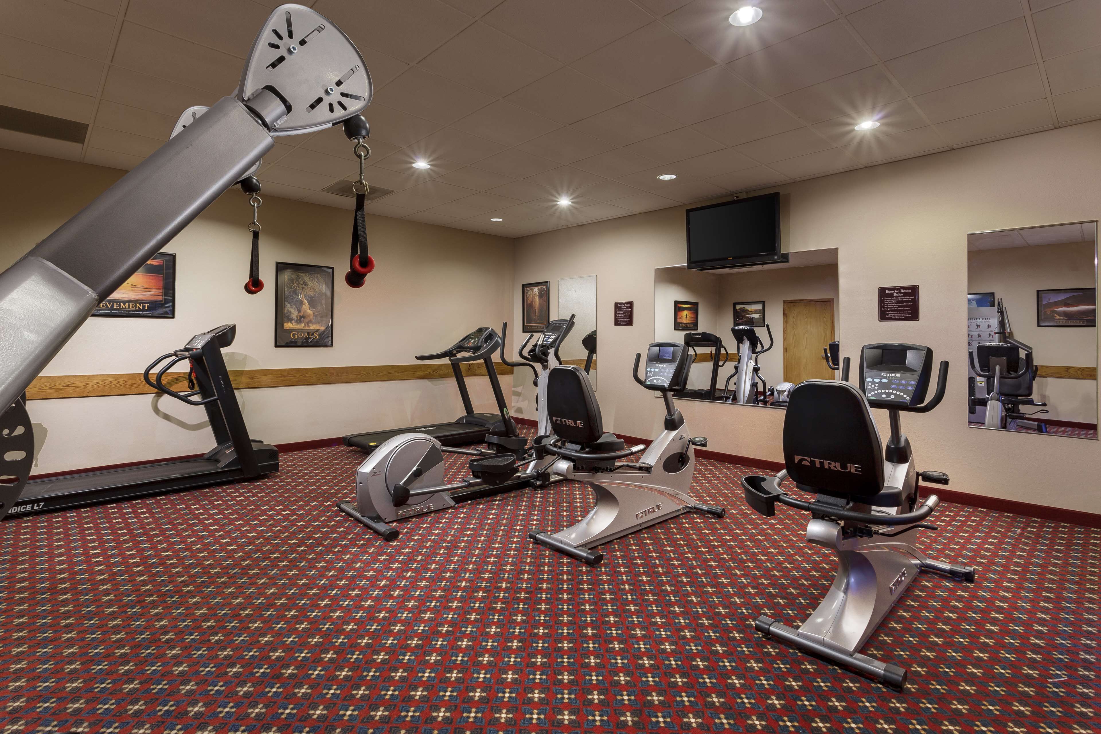 A gym with treadmills, stationary bikes, and a rowing machine.