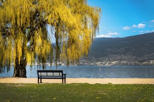 Lago