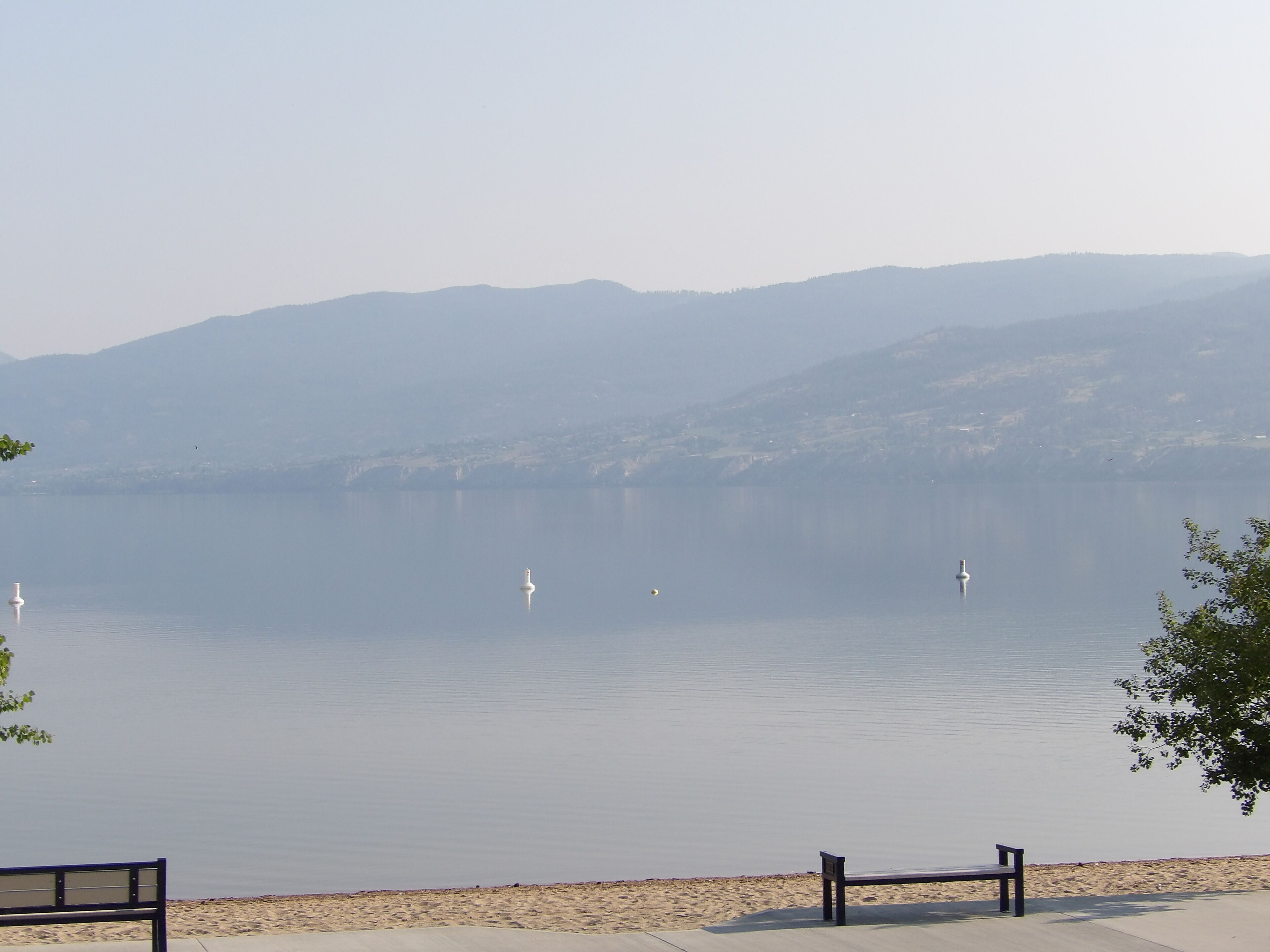 A calm lake with a bench and a floating buoy.