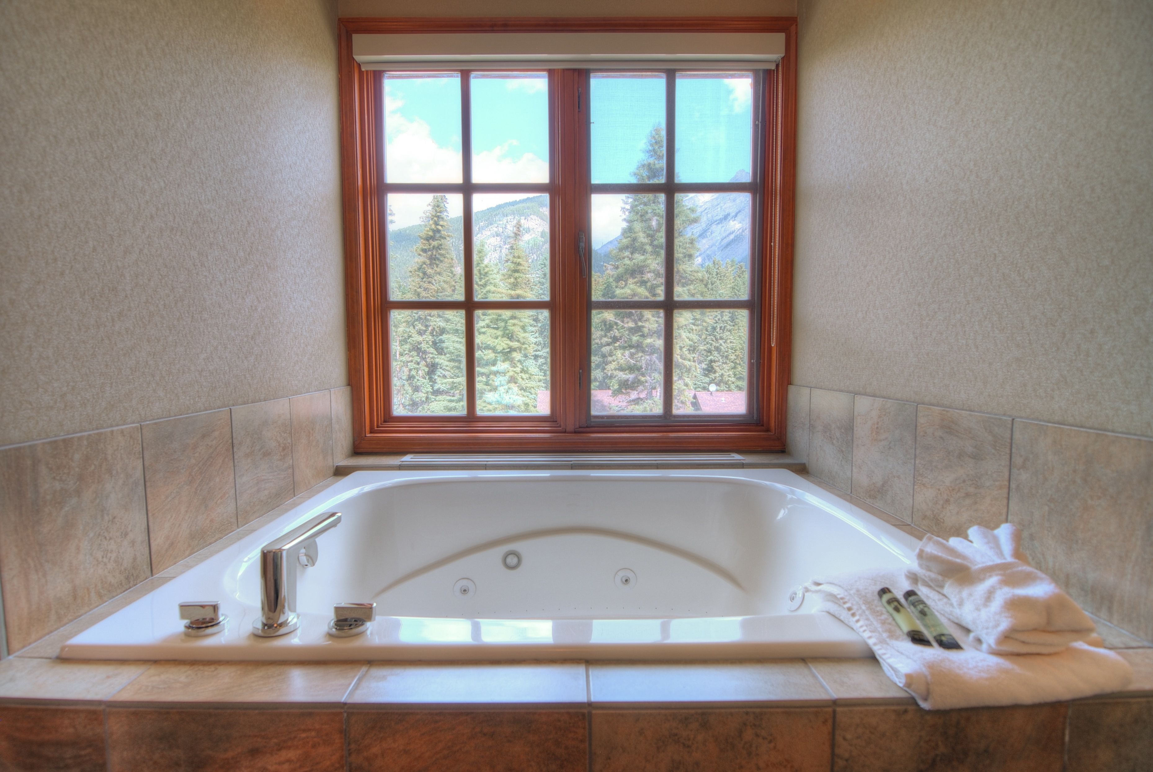 corner suite with spa bath | view from room