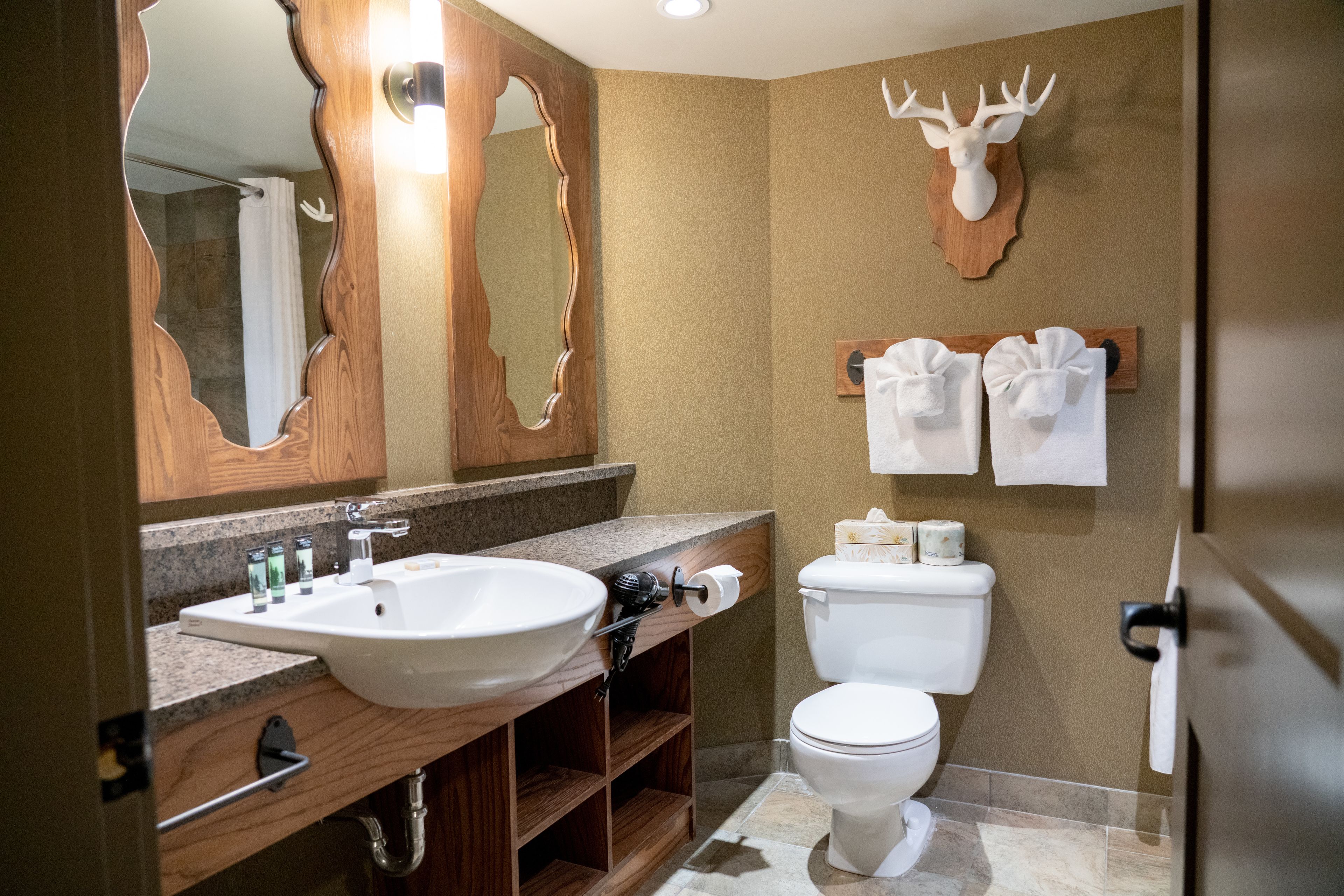 eco-friendly toiletries, hair dryer, towels