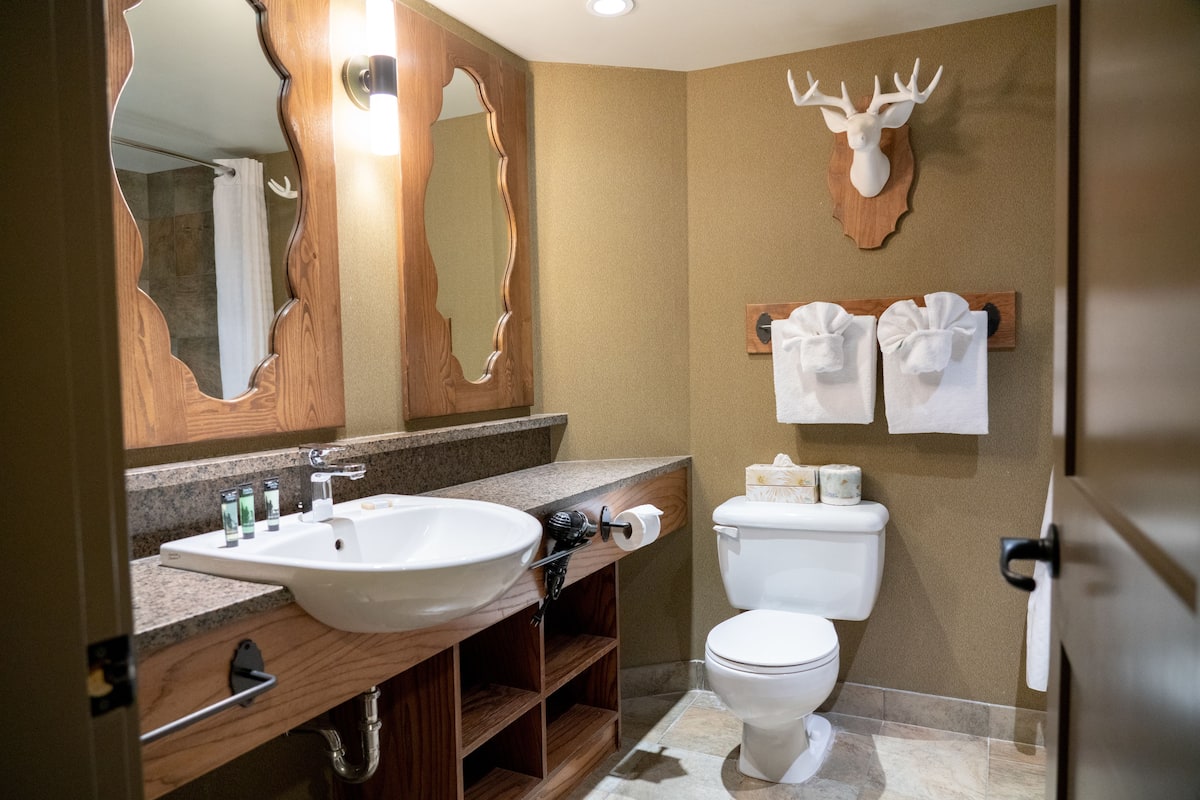 eco-friendly toiletries, hair dryer, towels