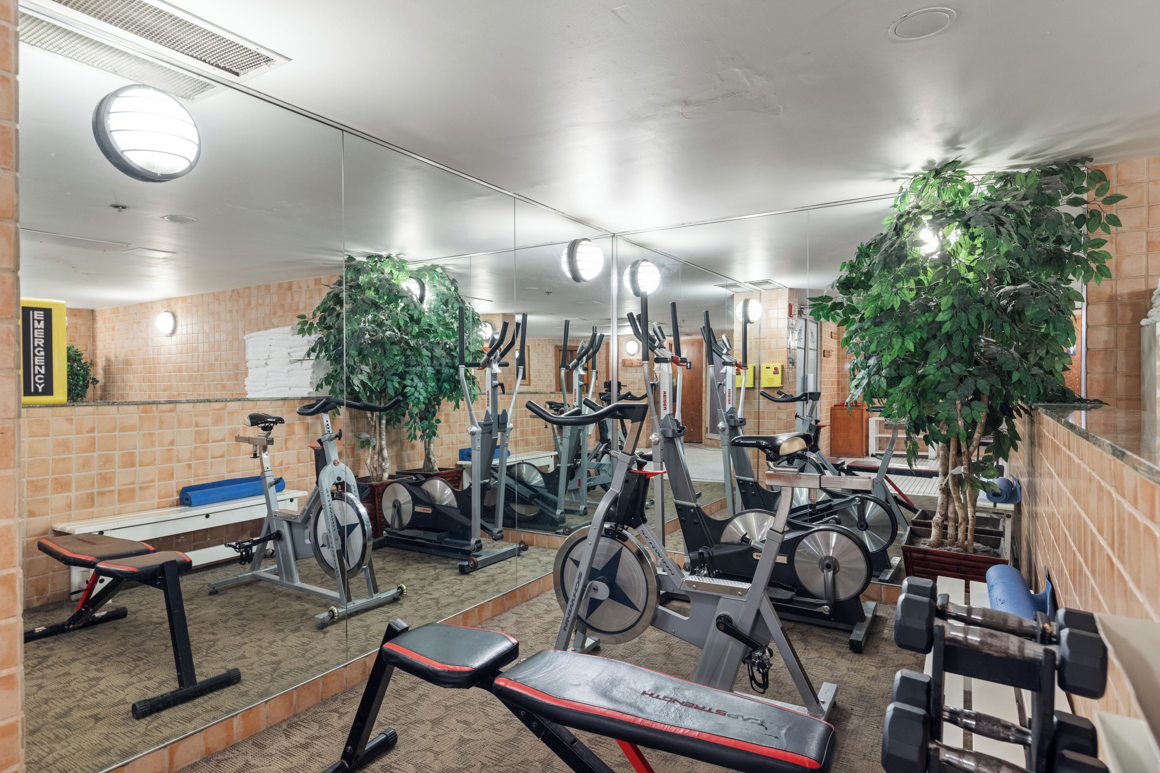 Une salle de sport équipée de divers appareils d’exercice, notamment des tapis de course, des vélos d’appartement et des poids libres.