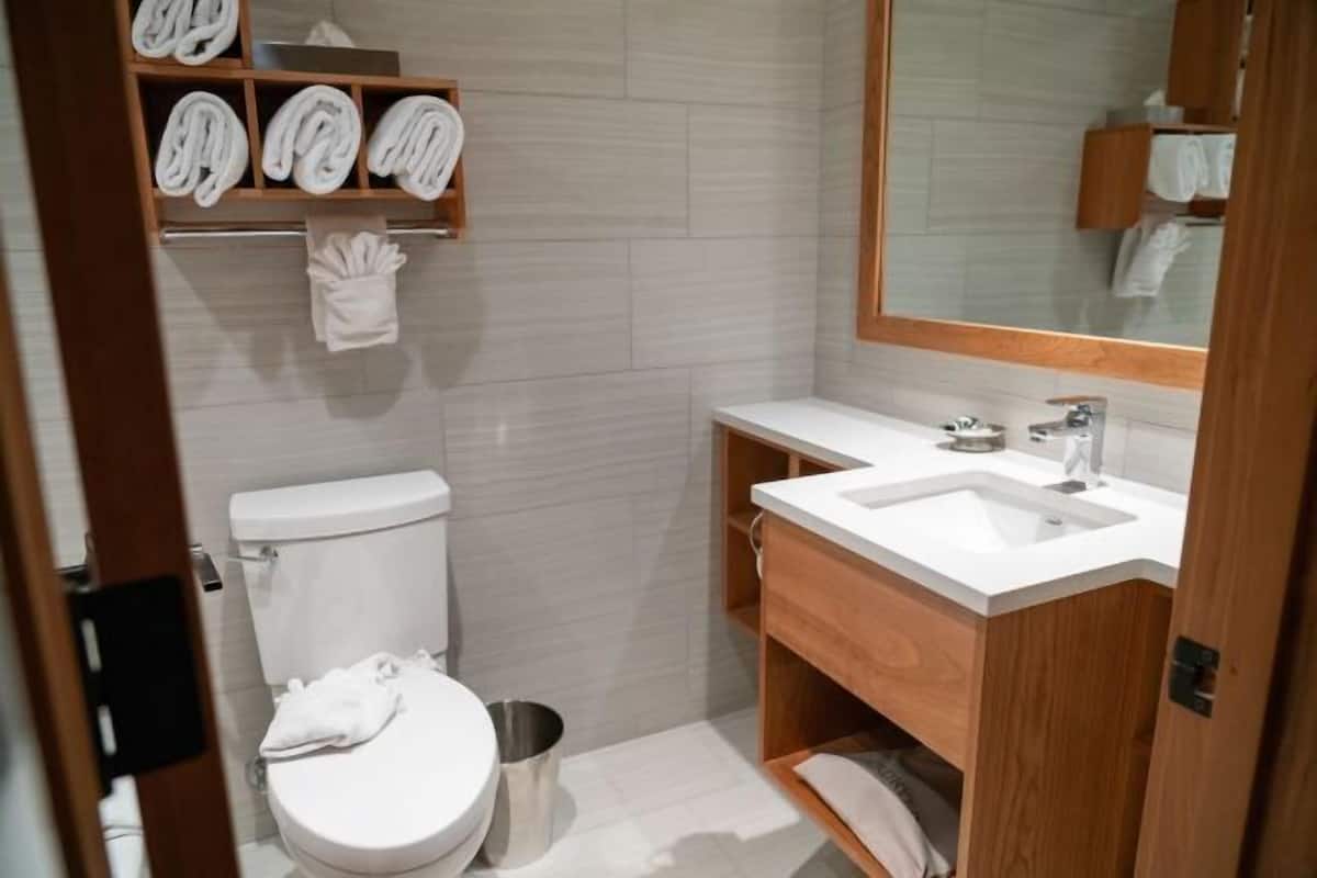 Kamar mandi | Kombinasi shower/bathtub dan perlengkapan kamar mandi ramah lingkungan