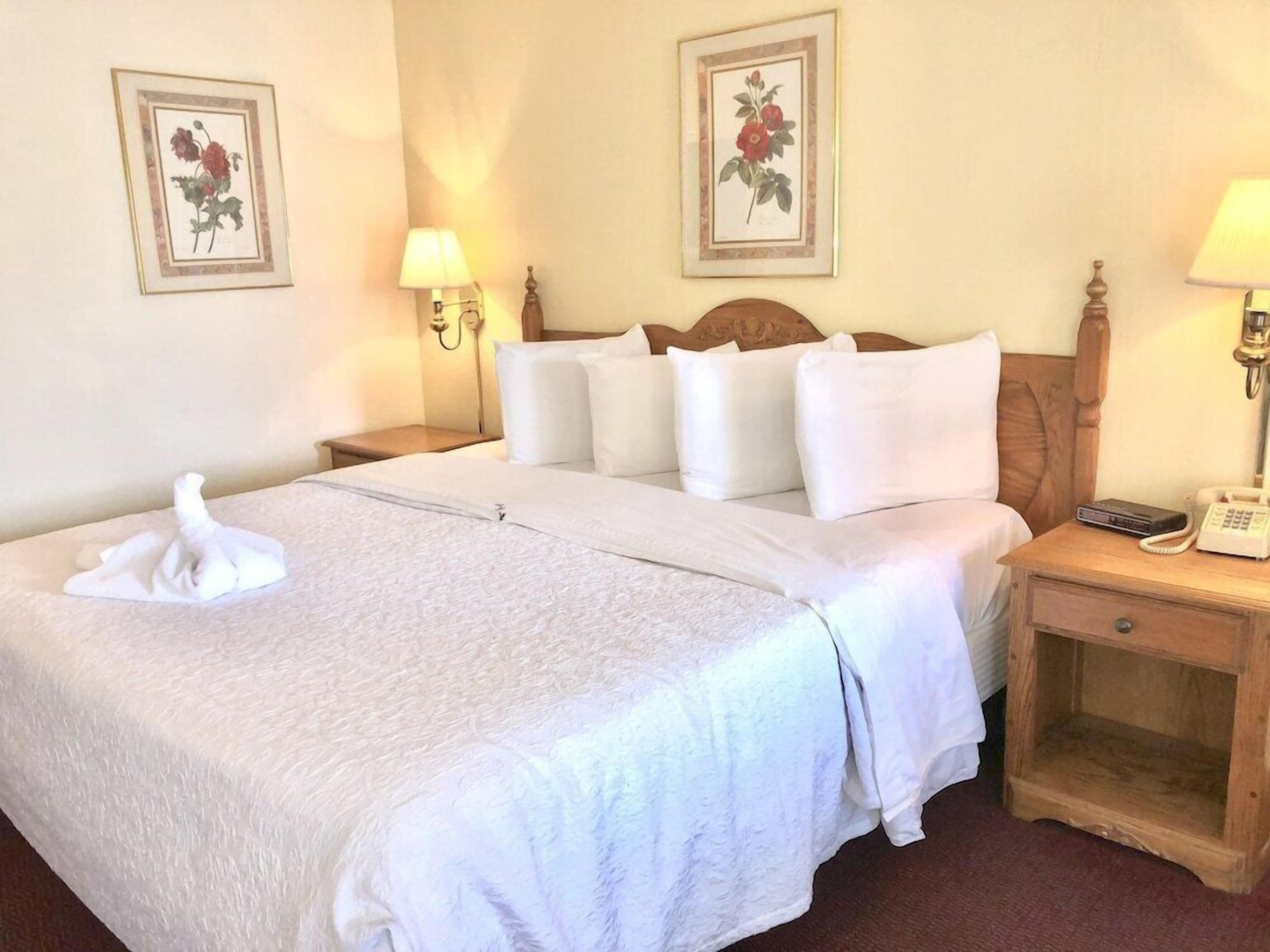 Iron/ironing board, rollaway beds, bed sheets