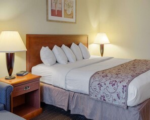 Standard Room, 1 King Bed, Non Smoking