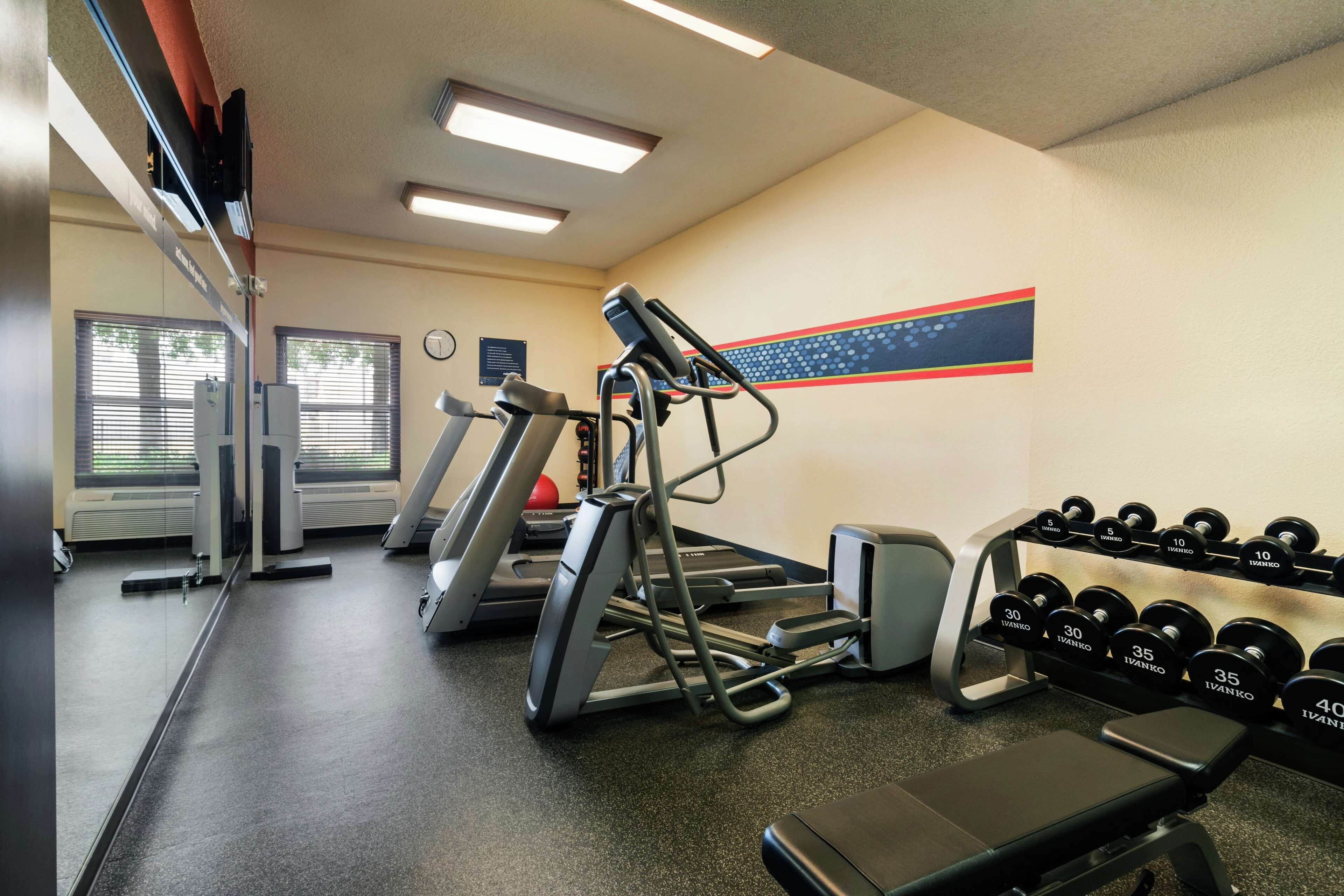 A gym with treadmills, a bench, and a rack of dumbbells.