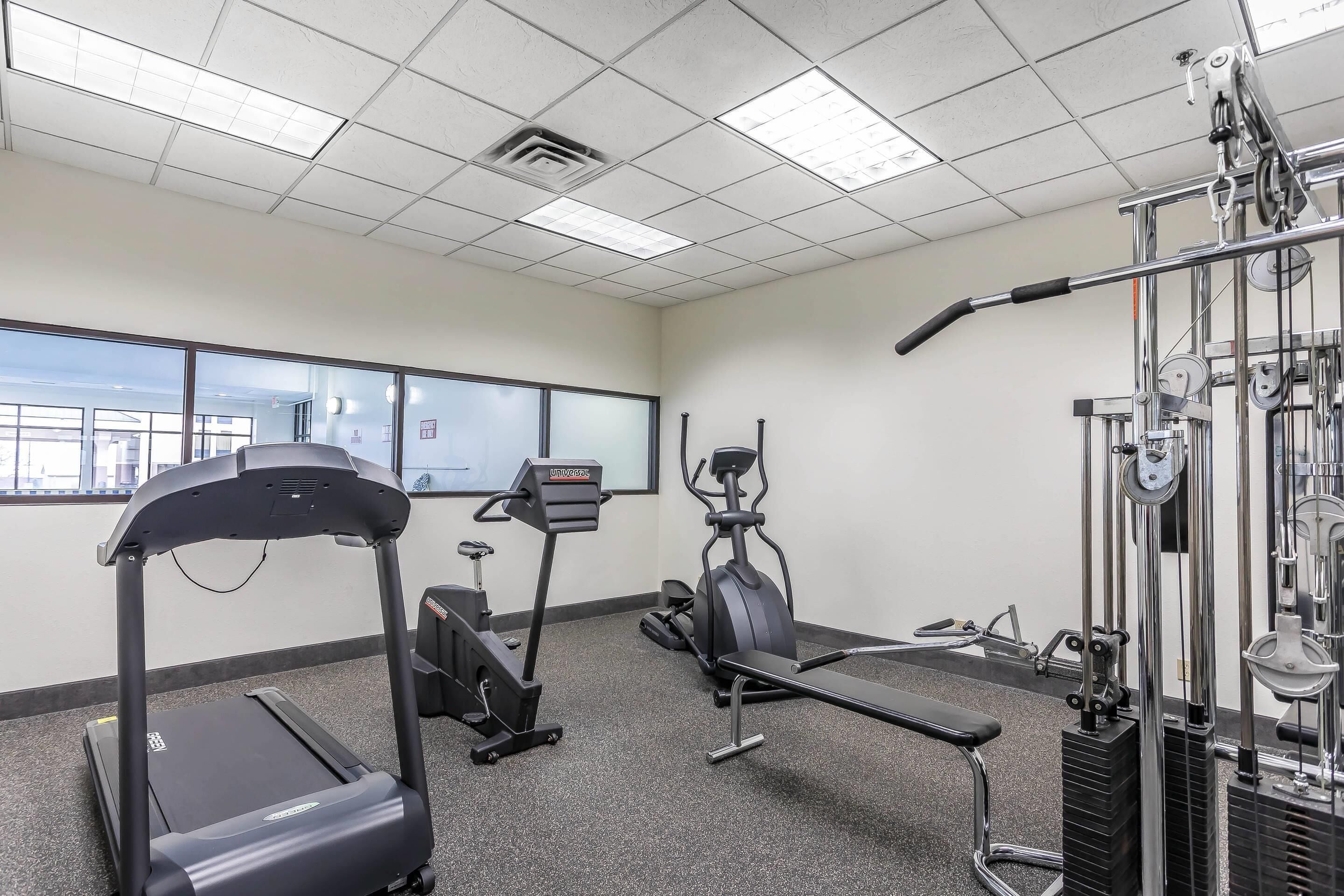 A gym with treadmills, elliptical machines, and weightlifting equipment.