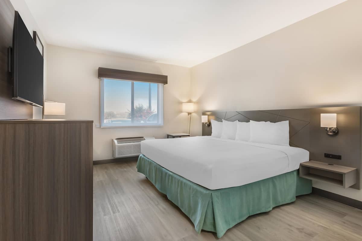 Une chambre d’hôtel moderne dotée d’un grand lit, de tables de chevet, d’un téléviseur à écran plat, d’une fenêtre offrant une vue agréable et d’un radiateur intégré.