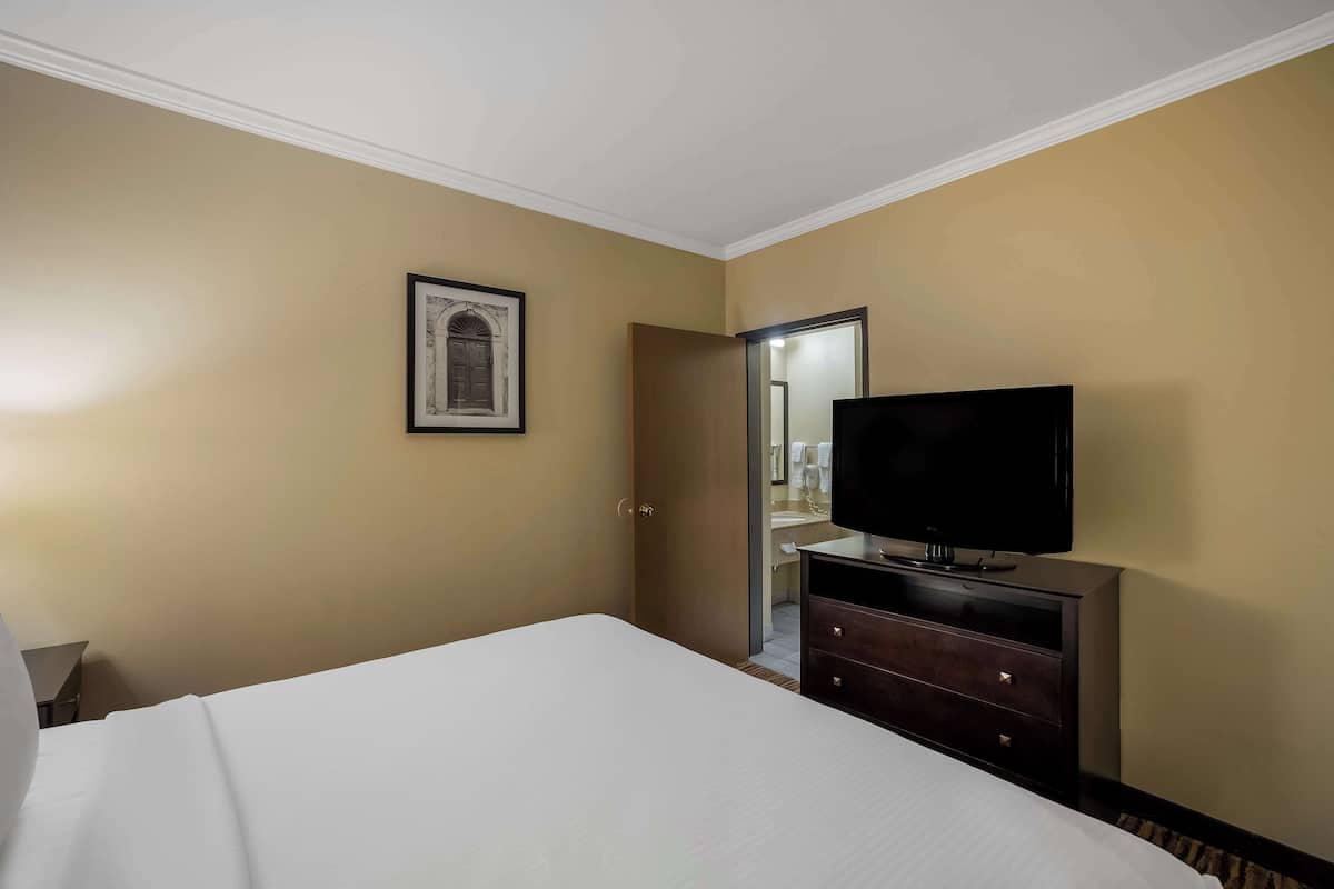 Suite, 1 King Bed, Non Smoking | 1 bedroom, desk, laptop workspace, blackout curtains