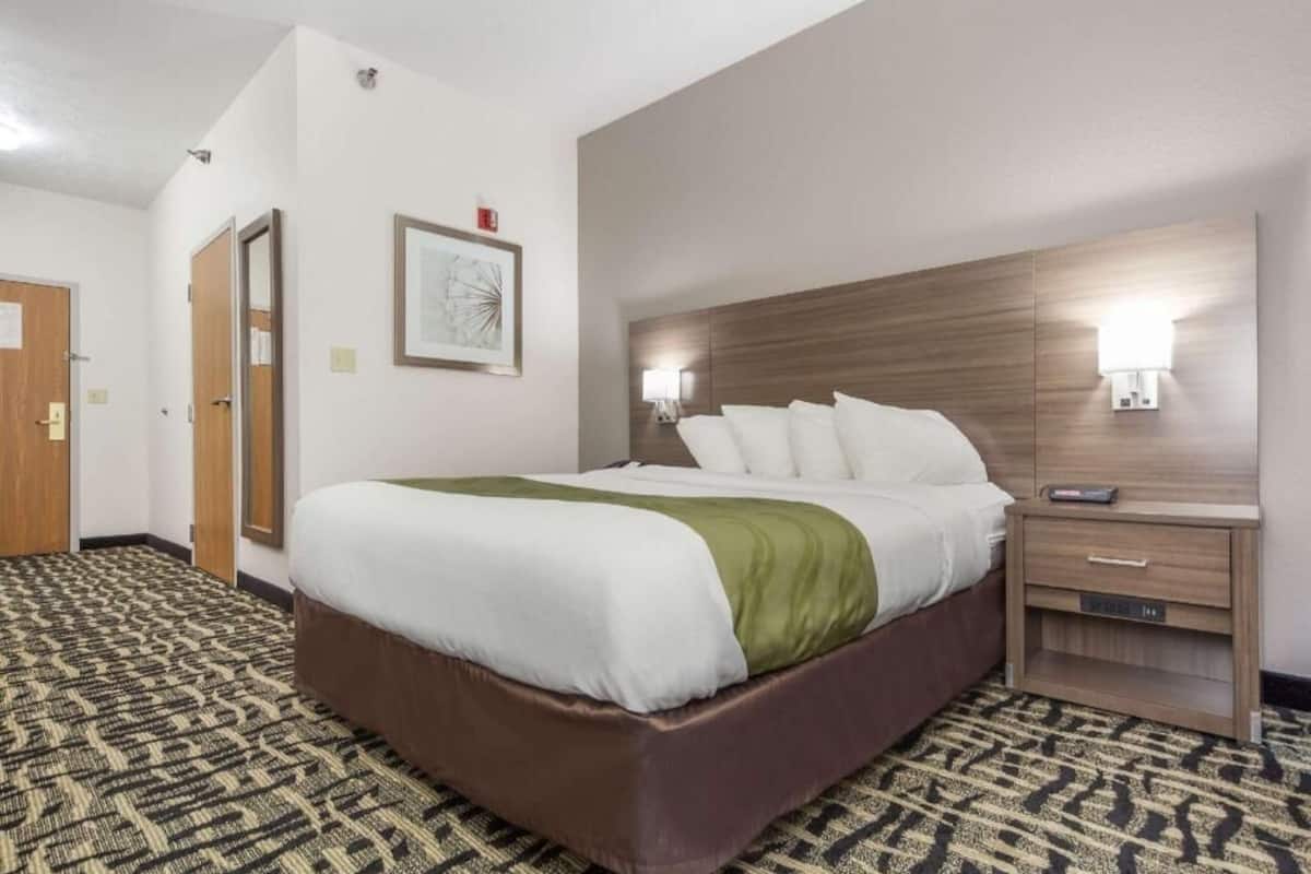 A hotel room with a bed, a nightstand, a wall-mounted lamp, and a framed picture.