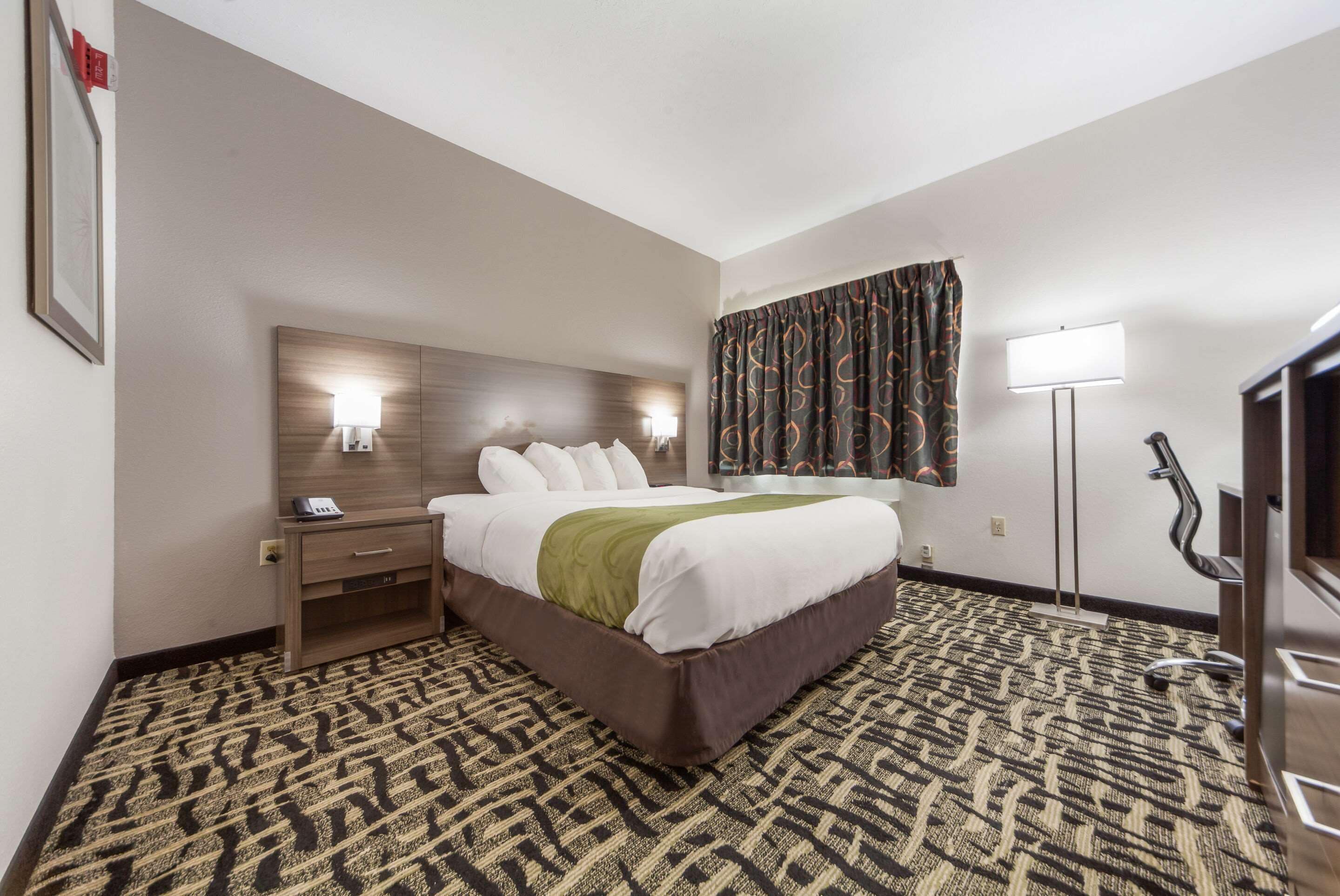 A hotel room with a large bed, bedside table, lamp, and patterned carpet.